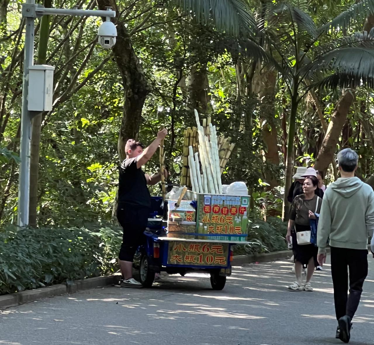 深圳莲花山的管理也在改变，一直杜绝小商贩进园的规矩也解禁了，林荫道上也开卖了。