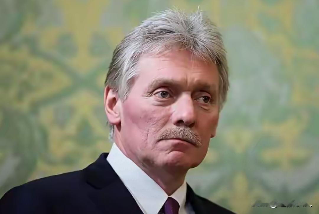 佩斯科夫这回直接把泽连斯基的“圣诞停火”提议给顶了回去。事情是这样的：泽连斯基最