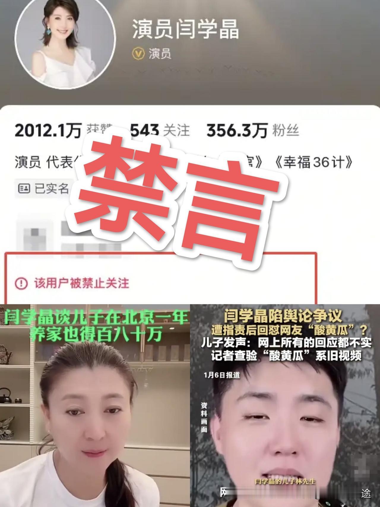 全网封杀“闫学晶”：一年儿子不够花百八十万！这是哭突还是露富呢？ 老百姓都有话要