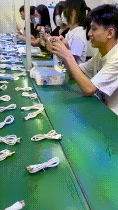 这样的流水线，应该是拍视频玩的吧？如果照这个生产速度，做一天的产品的收入不够给她
