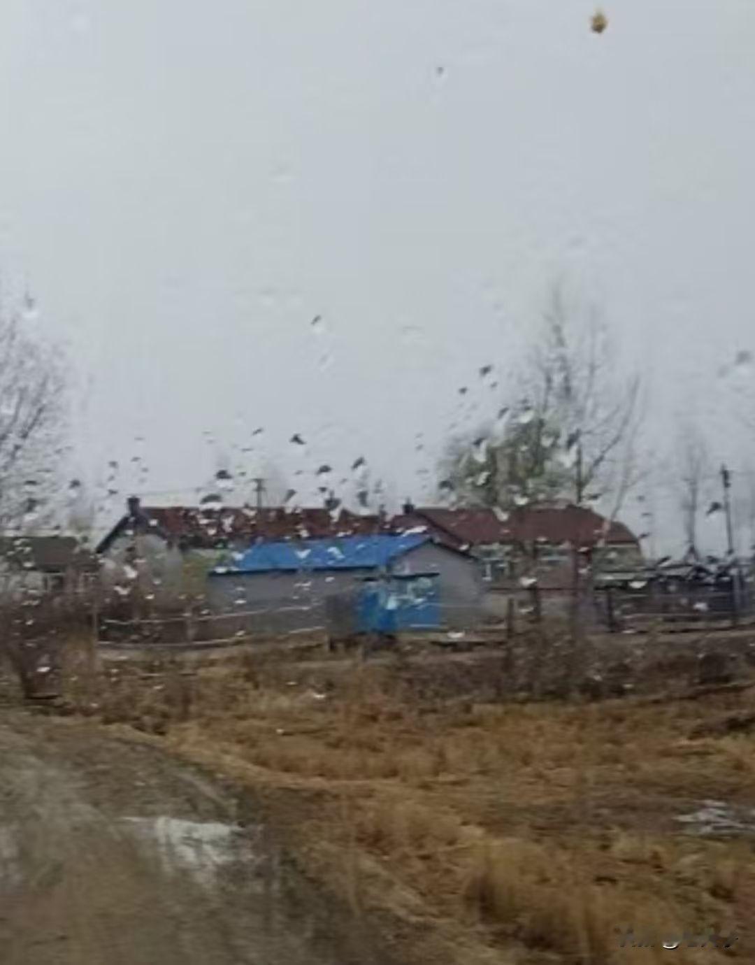 原创随手拍之（2714）吉林省梅河口市杏岭镇永久村一队夏家炉屯。
位于梅河口市东