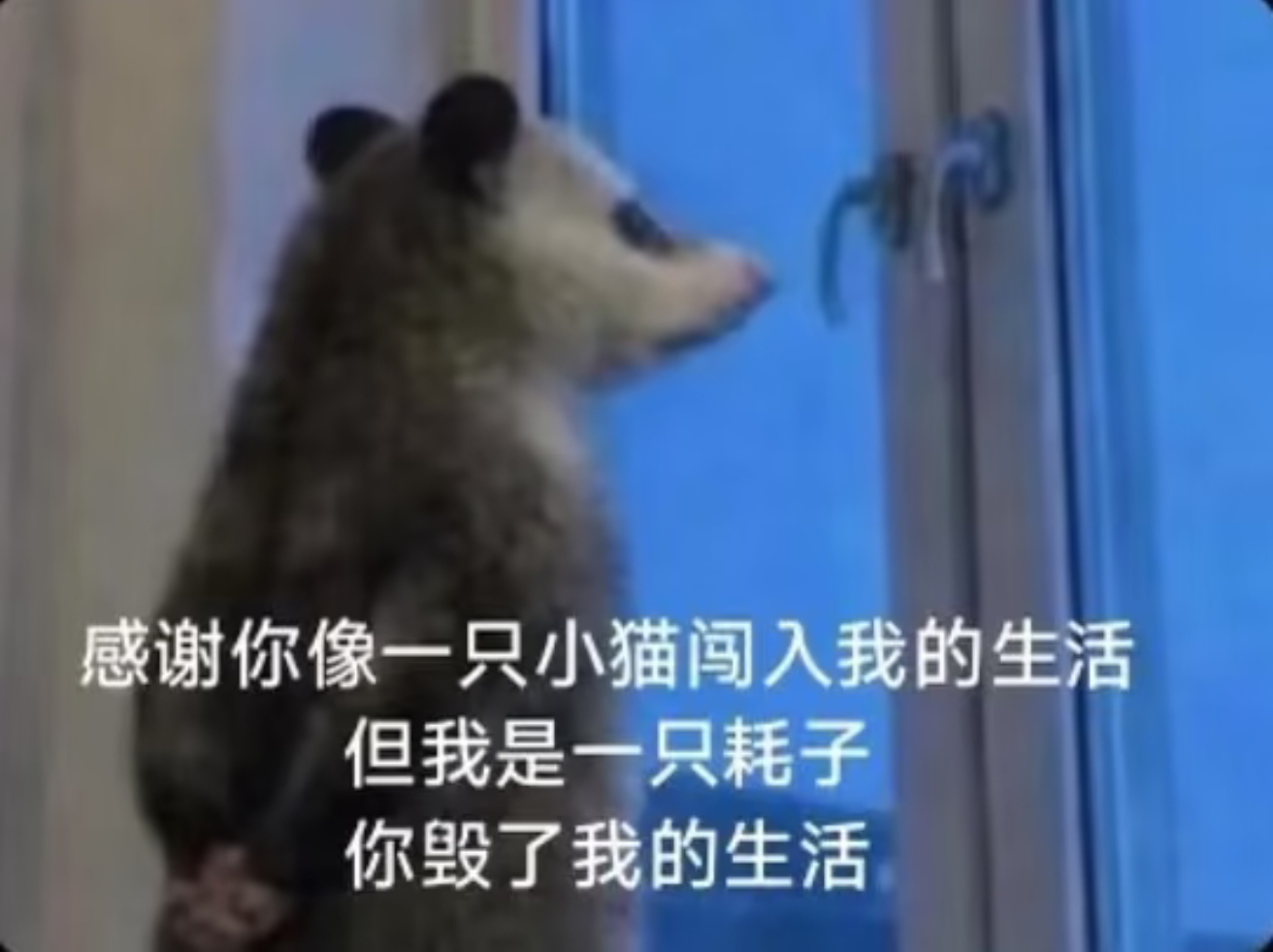 追未完结的文太苦了，作者一天一更，有时候还不更，更了也就1000多字，我2分钟看