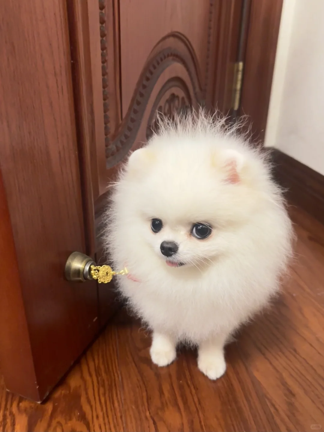 妈妈 这就是你说的足金吗？
