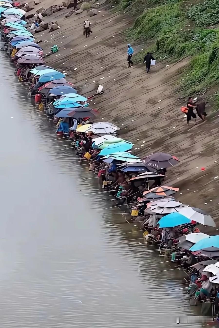 震惊！第一次见到这么热闹的钓鱼场面，我好奇这么多人挤在一起钓鱼，能钓到鱼吗？

