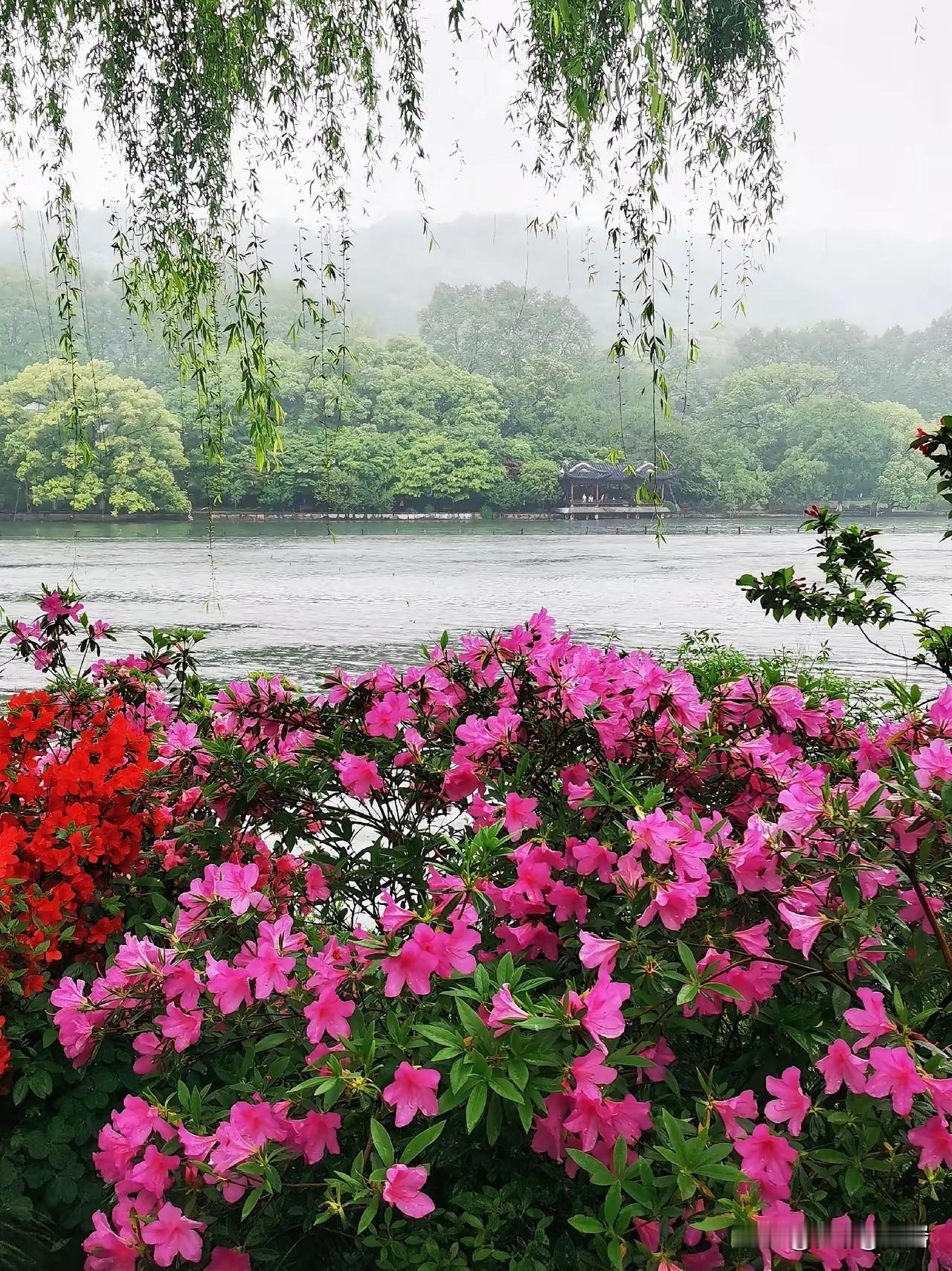 培养好好说话的习惯，避免不开心
 
1. 好好说话，不是温柔，是能力与修养
好好