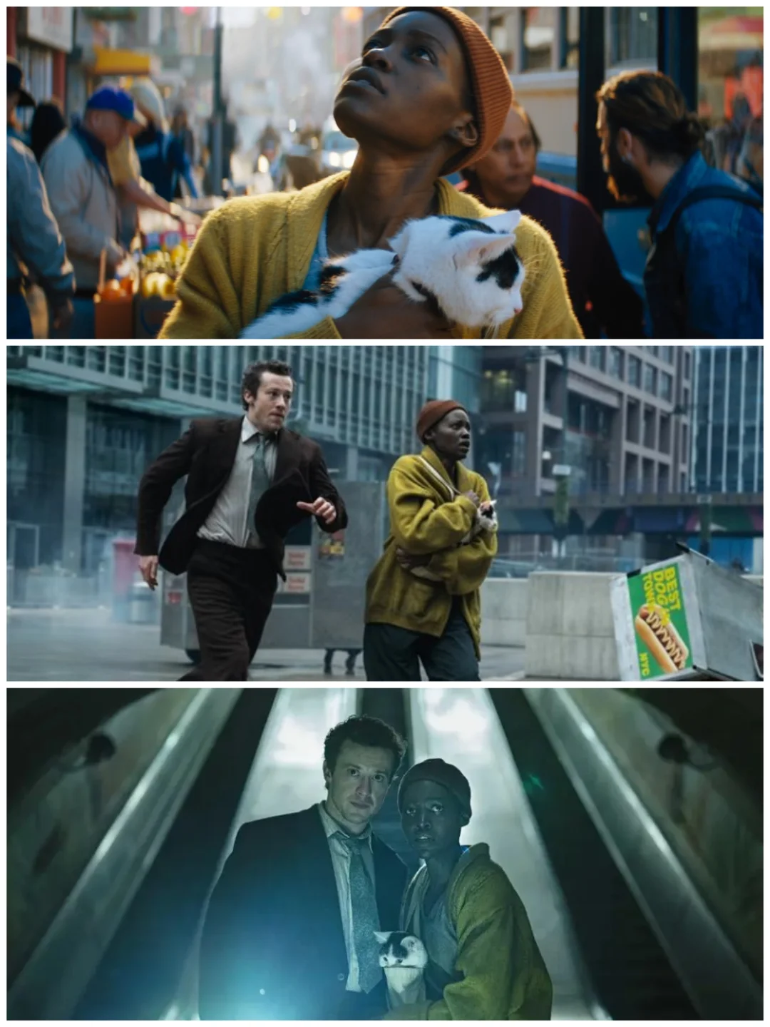 入侵日：唯有深度关系才能激起生命力