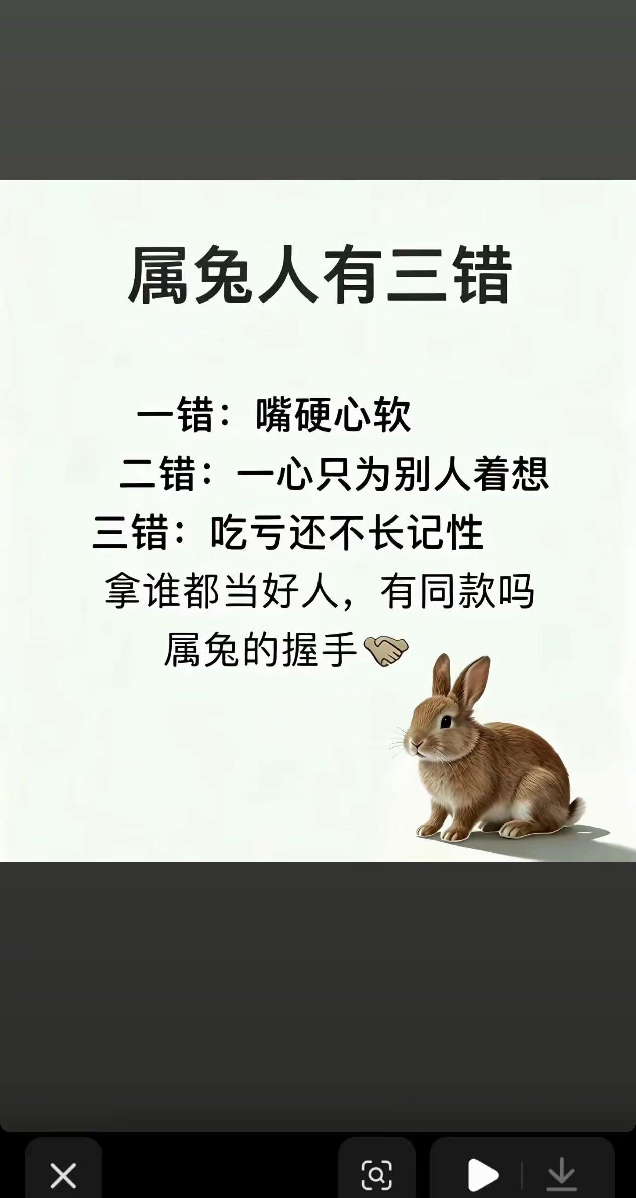 🐇握手🤝