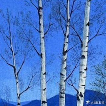 追过朝阳的热烈，也恋上深夜的宁静，晚安，好好休息。 