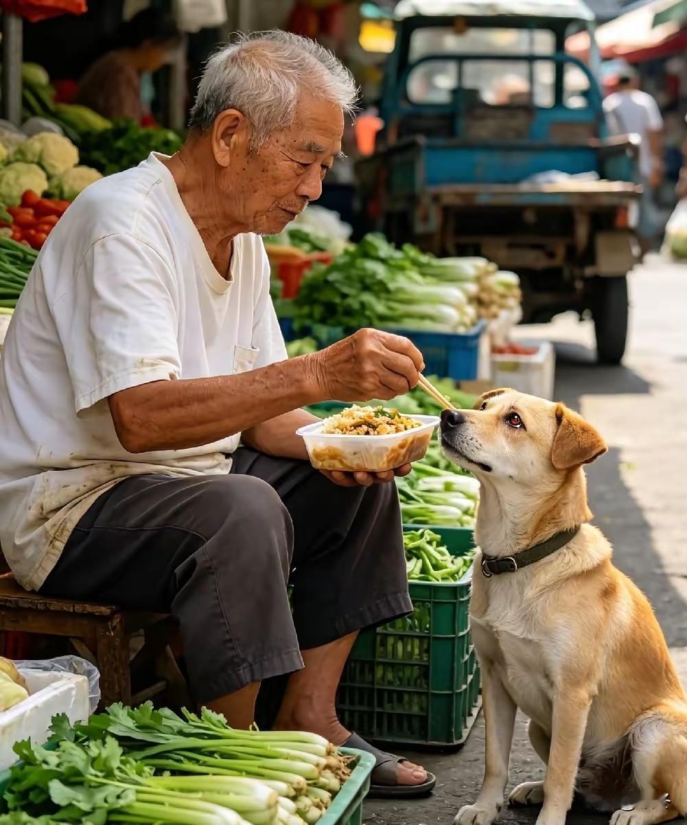 人饿着肚子也要给狗买饭，这只流浪犬的举动，狠狠打了不少人的脸面！
七十七岁的独居