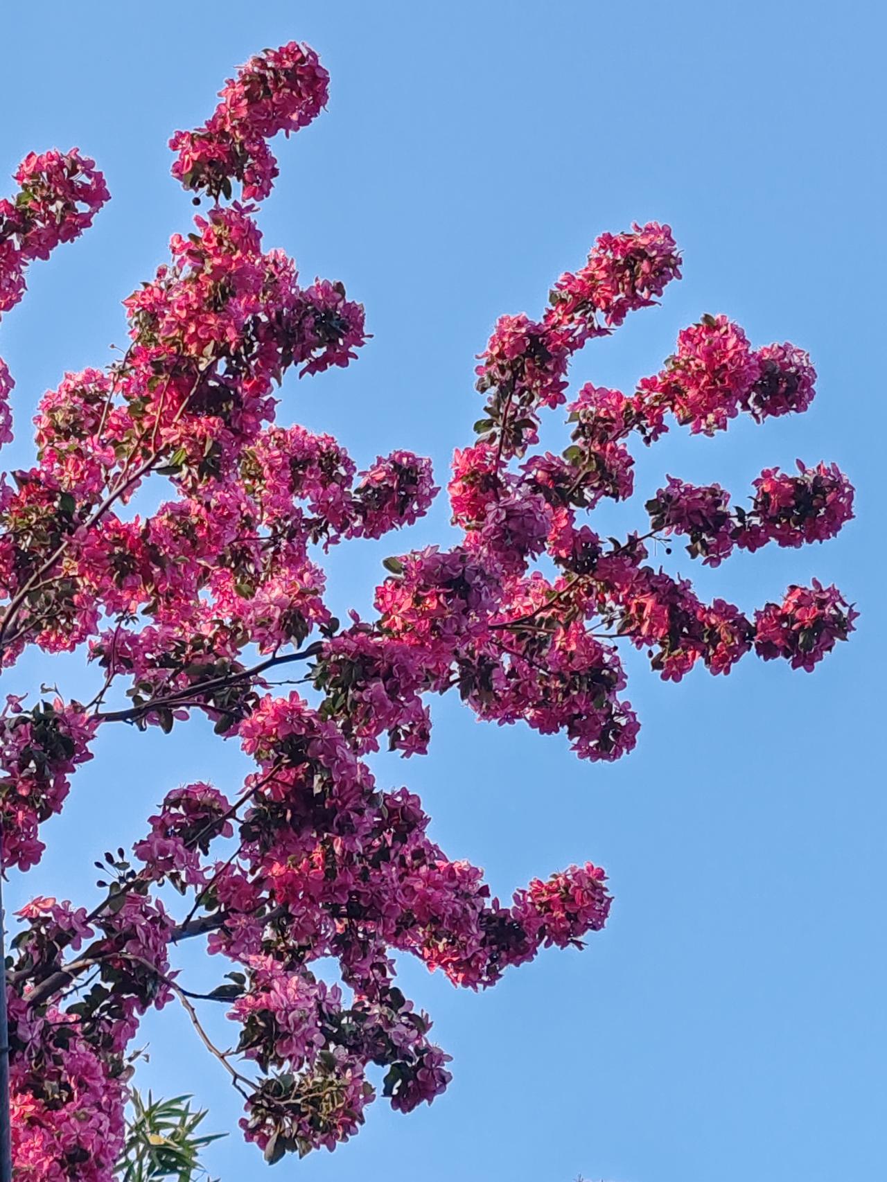 克制欲望，便能拥有一切。降维消费是省钱的良策，而升级消费则是让人沦为物质奴隶的捷