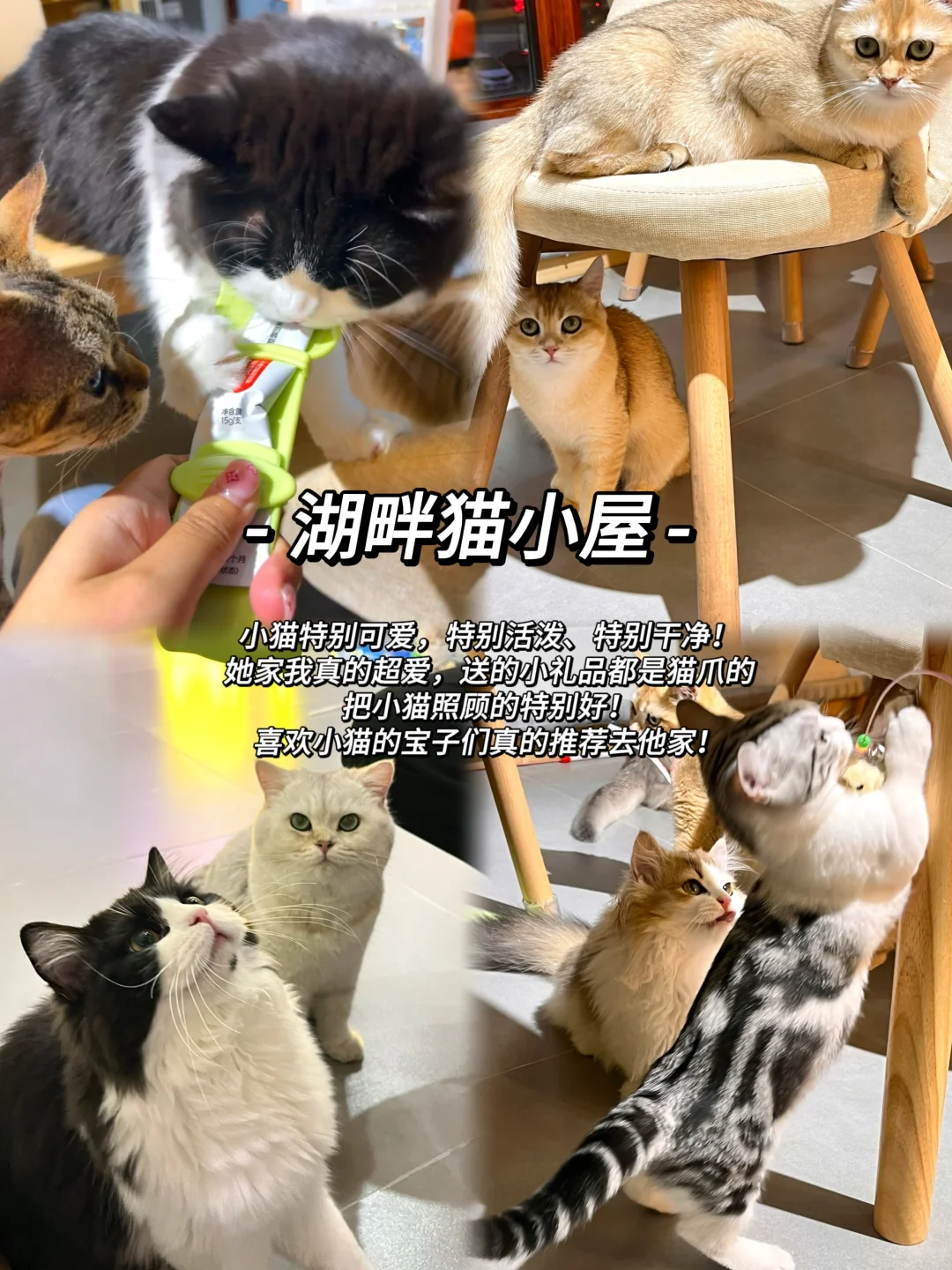朝阳｜周末去哪呢？好玩好拍的去处合集来啦！