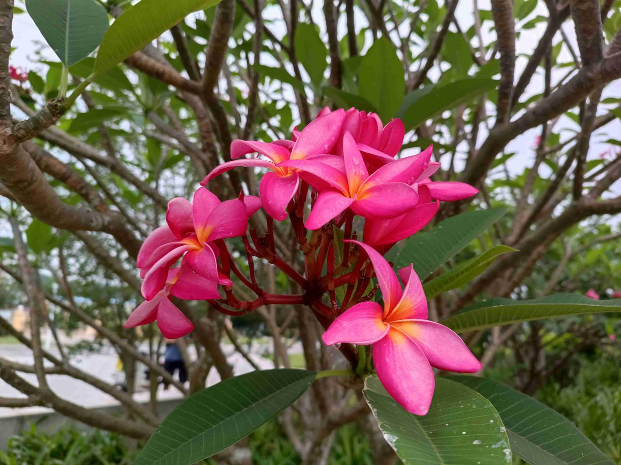 我的今日状态：🏃‍➡️运动
我这里的天气：🌧下雨
今天下雨了
烟雨濛濛细雨