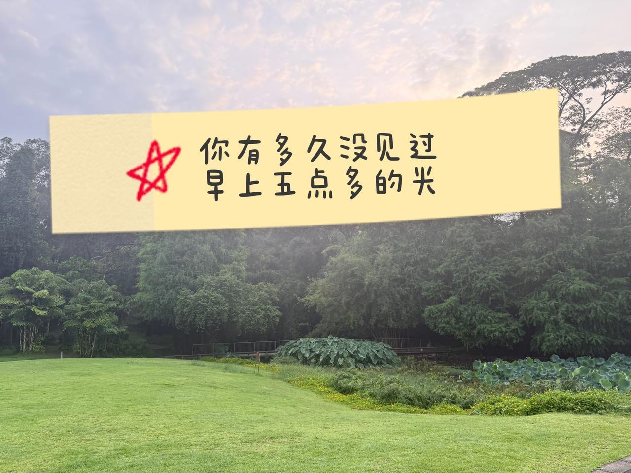 早上的天河公园，无数的晨跑者，自律产生的内啡肽！晨跑公园随手拍 天河 跑步公园 