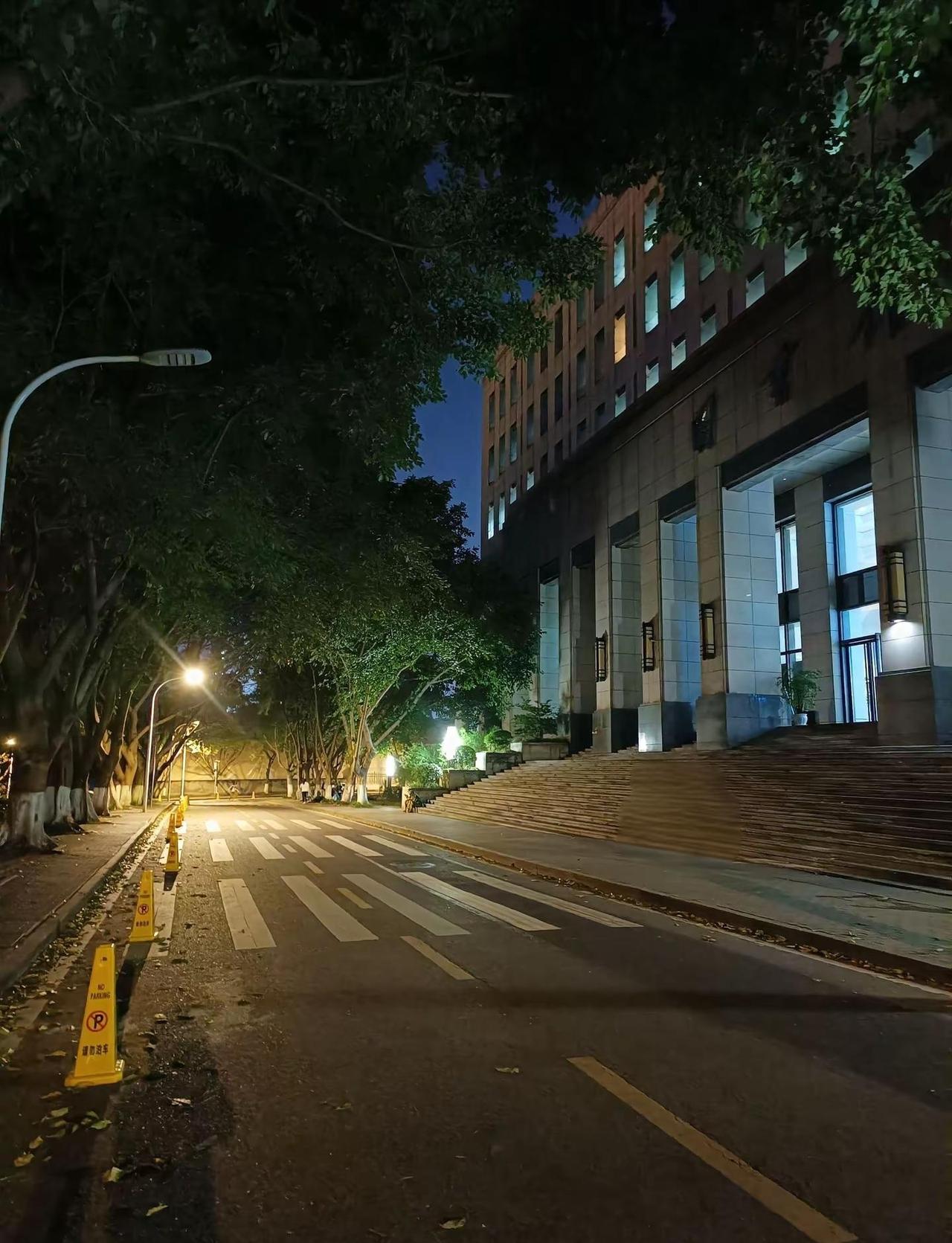恋人怀中樱花草，听见胸膛心在跳校园夜景 大学的夜晚 重庆工商大学
