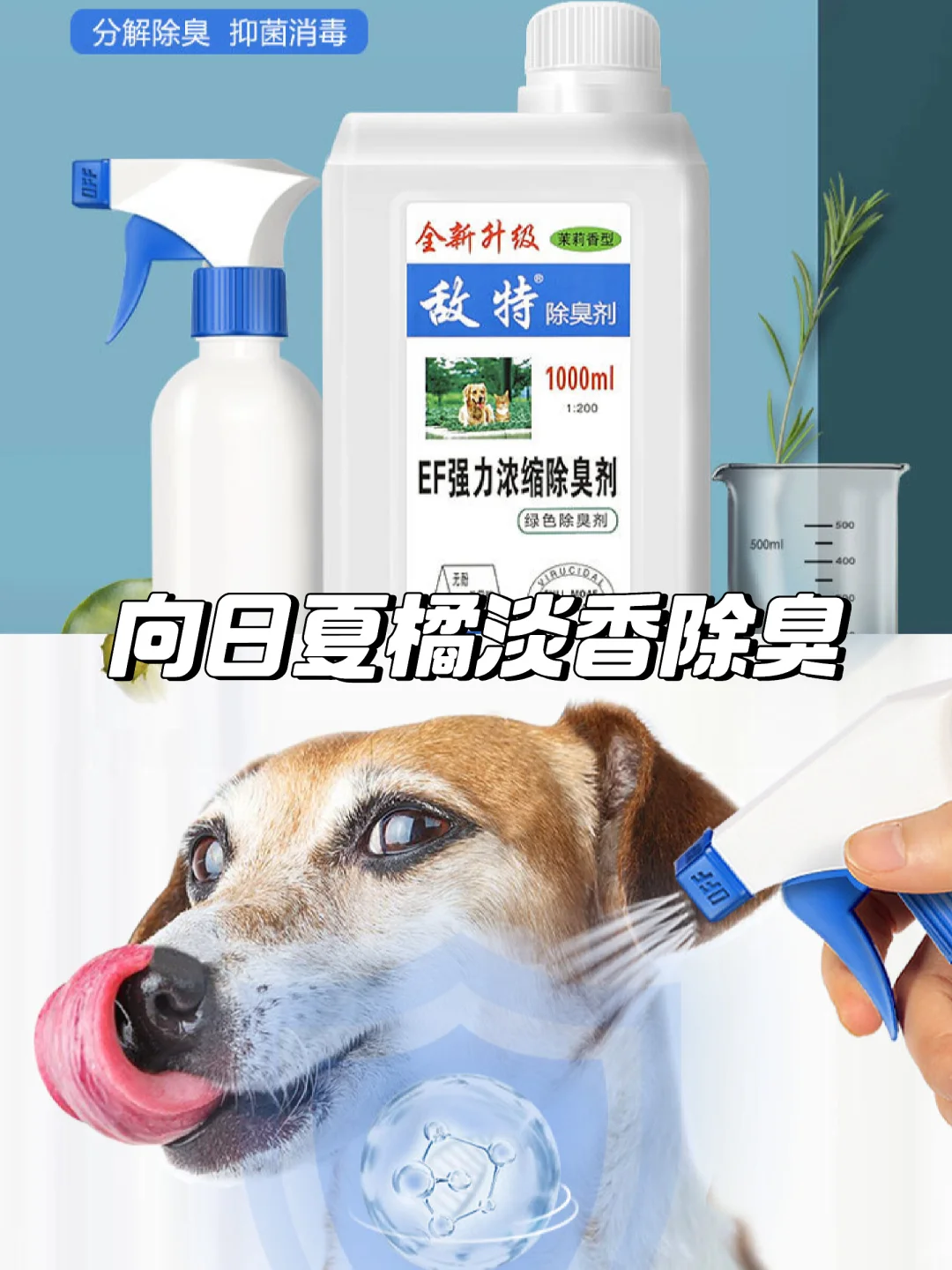 宠物除臭神器😺向日夏橘香
