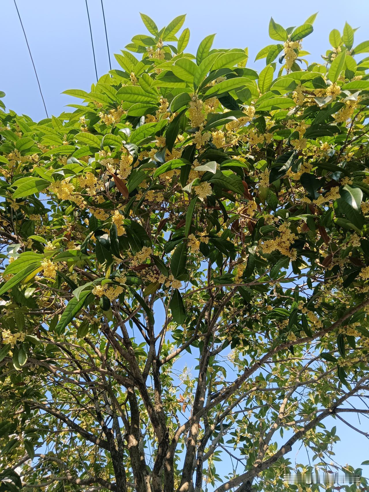 @豆包 帮我点评