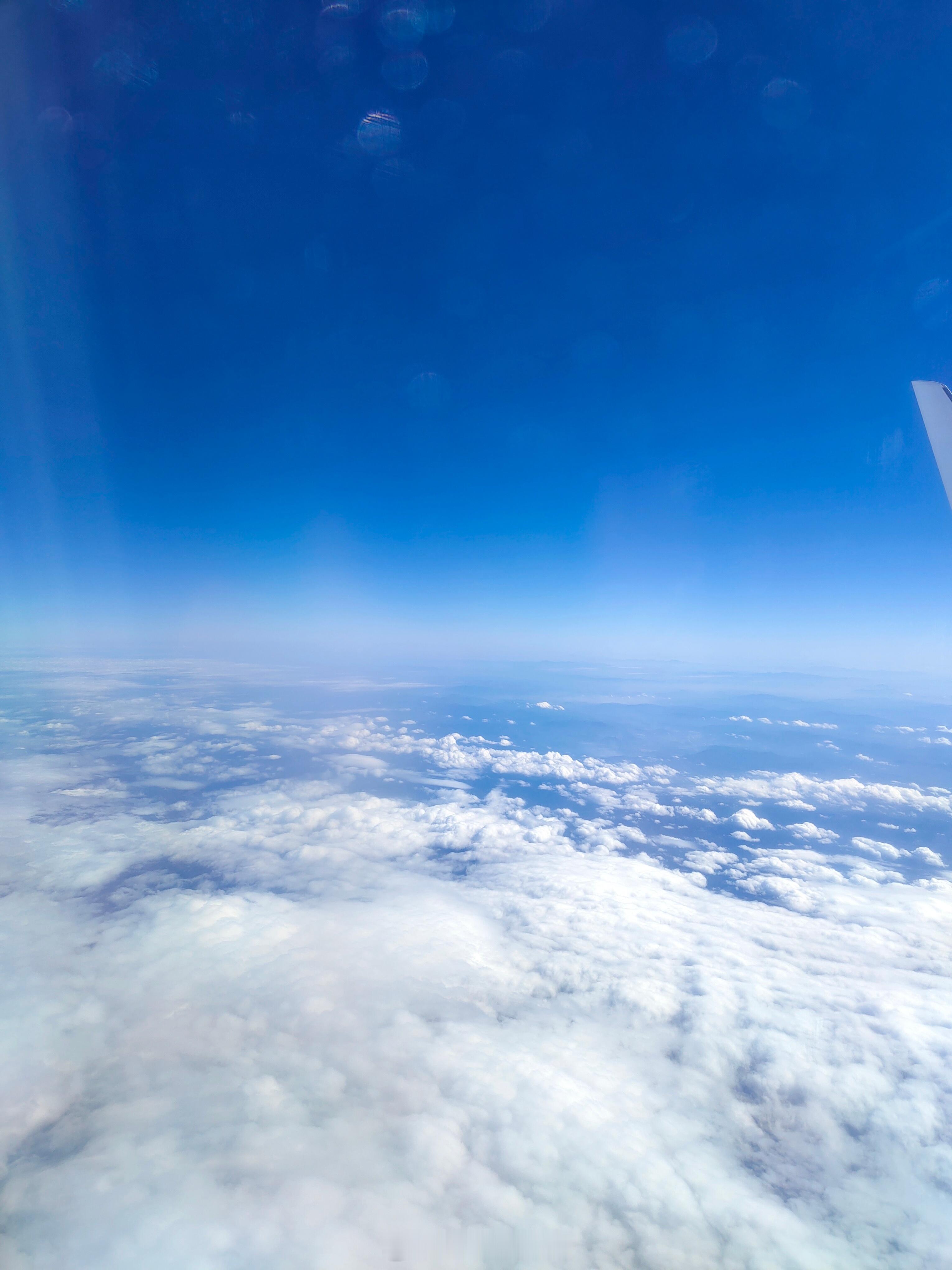 我的年度总结  如果要给我自己在2024年的表现打个评分，那么我就毫不吝啬的打个