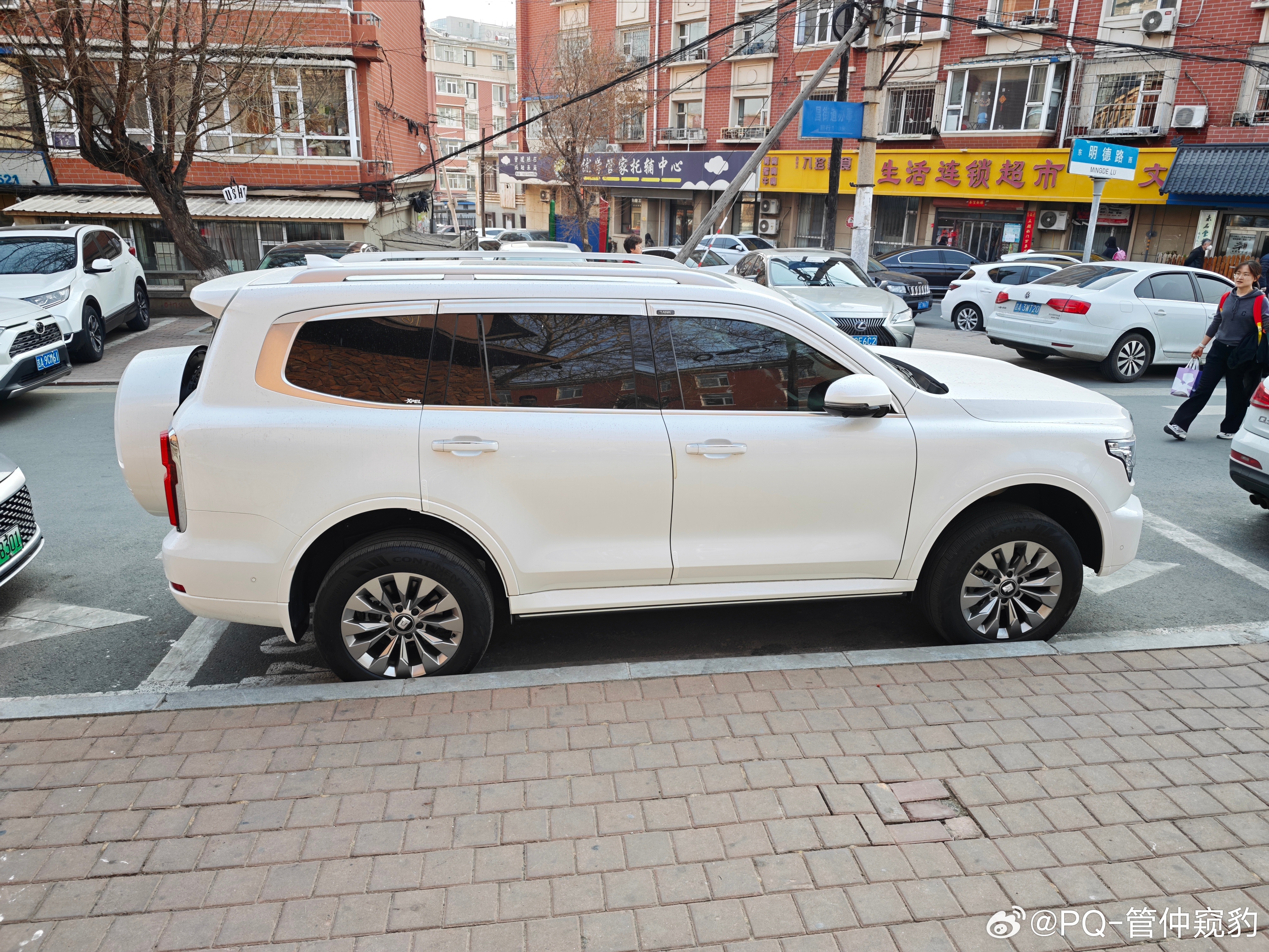 坦克500 侧面姿态不错很有丰田兰德酷路泽的气势 