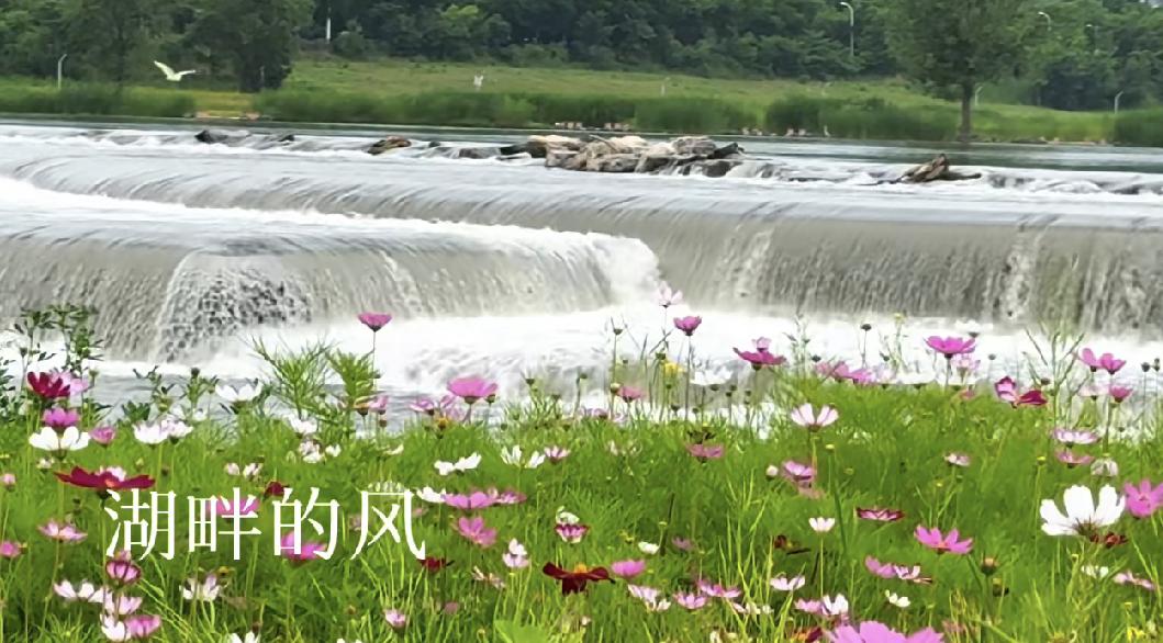 这照片能让人治愈，不敢相信自己在哪里，原来就是北京的永定河风景。
这照片真是让人