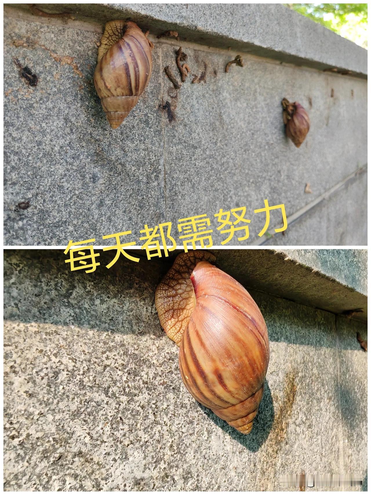 2024.8.25#厦门随手拍摄# 
生活就是这样，努力！
#随拍秋日生活#