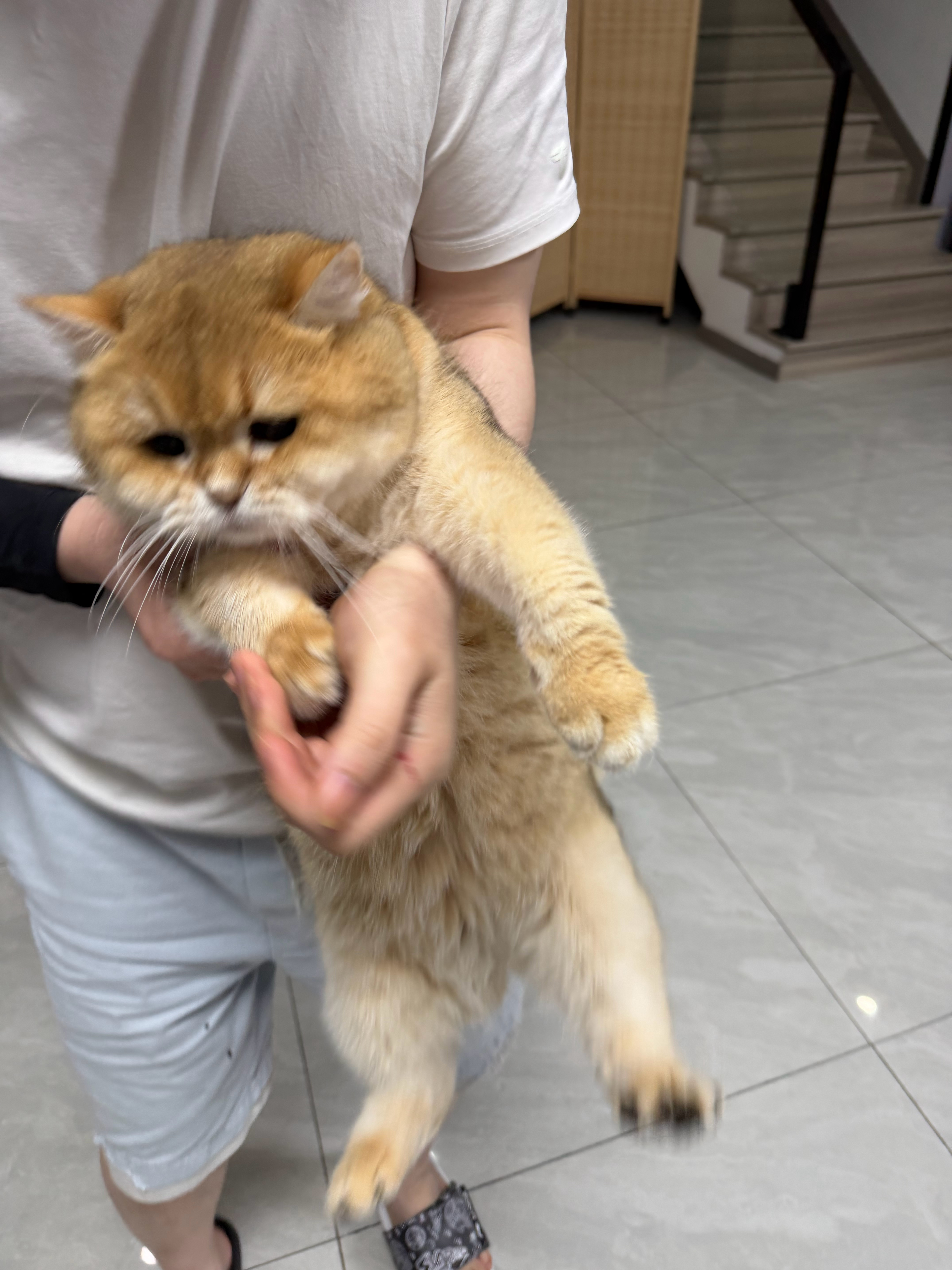 来摸鱼吗？！下午了该喝喝奶茶刷刷视频了！