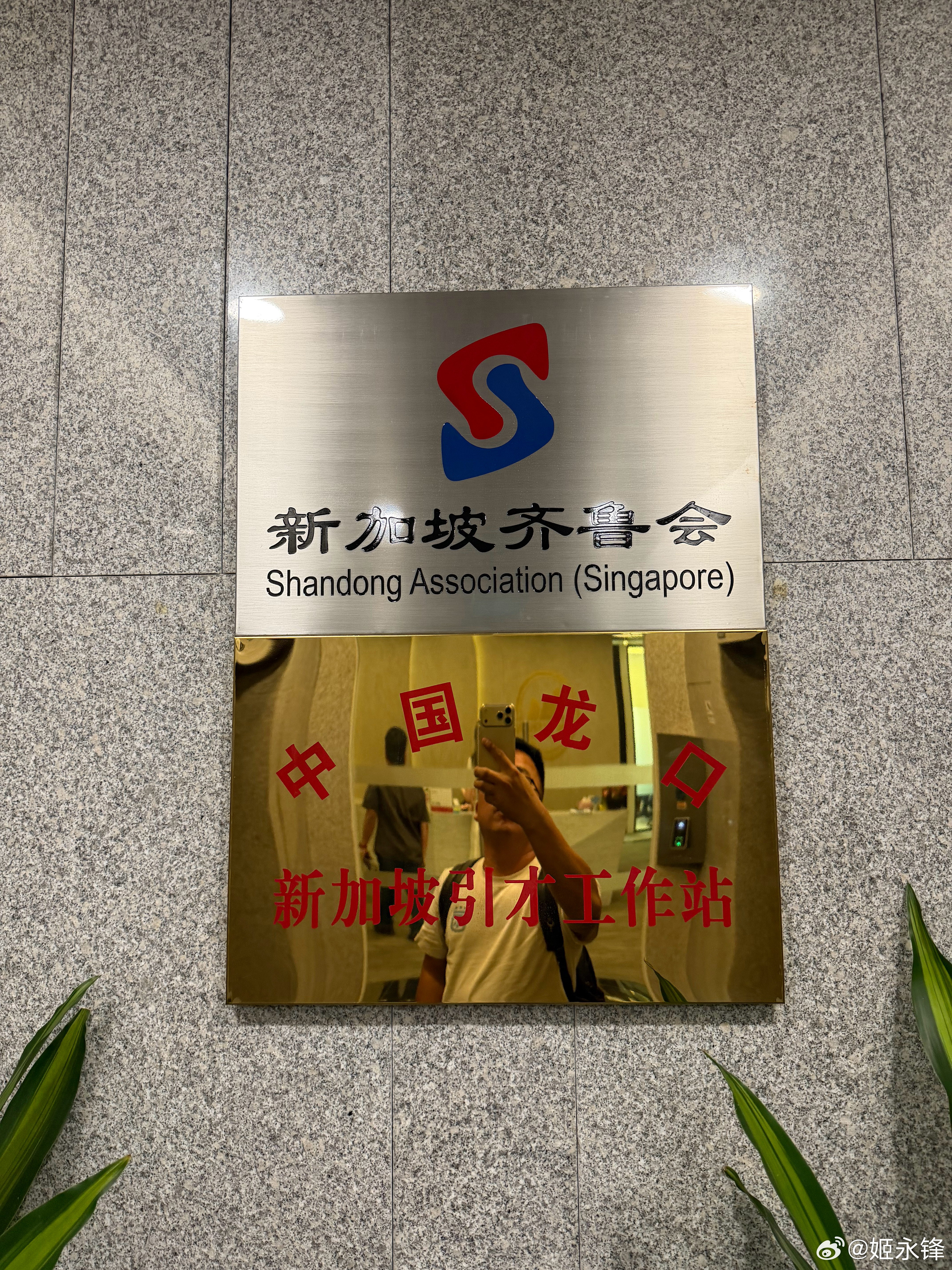 今天在新加坡的南山集团大家一起学到了好多出海的知识 