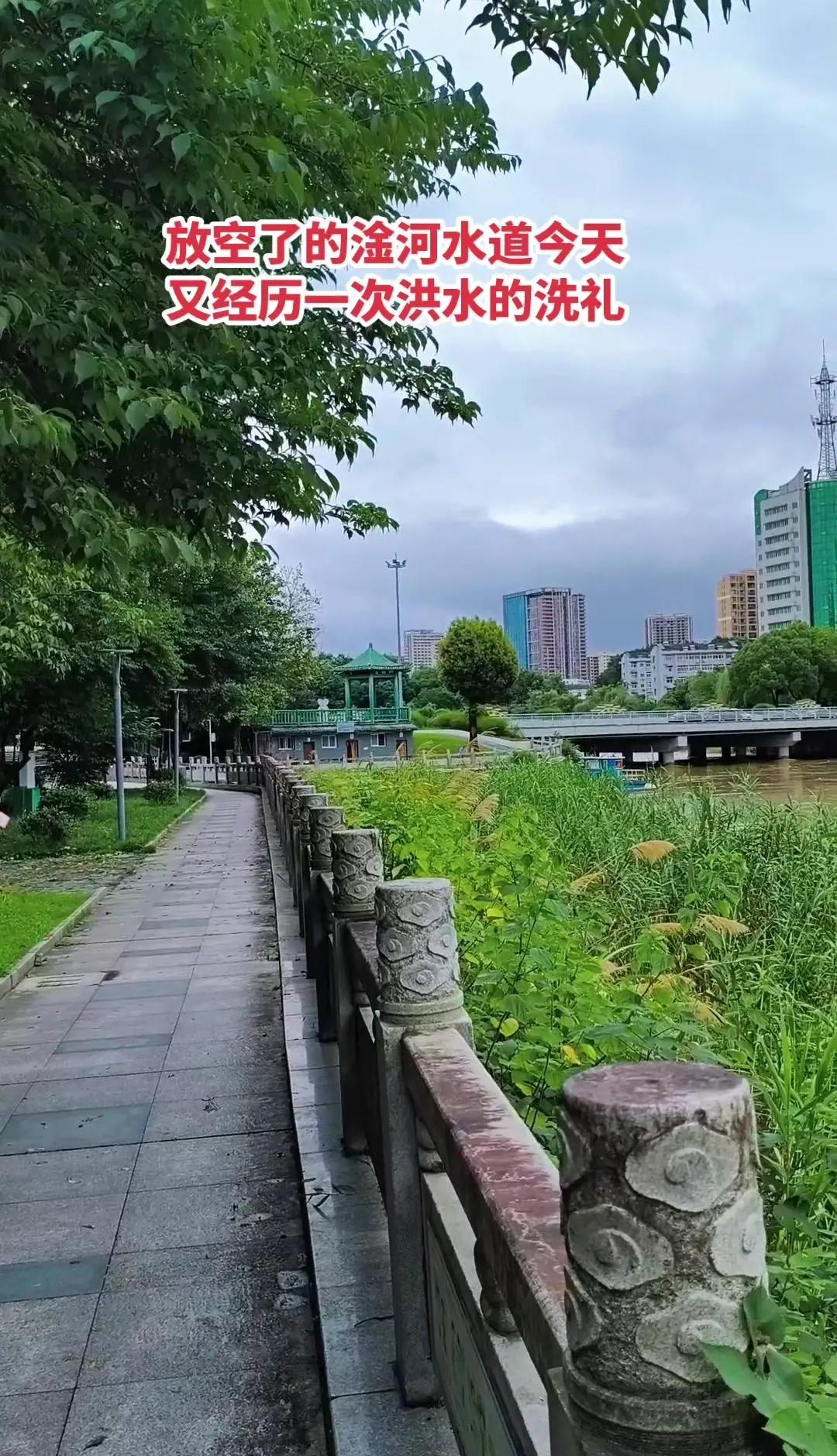 咸宁暴雨后河水暴涨。1️⃣昨晚咸宁温泉区下了半夜大雨，清晨才停。现在温泉河水位明