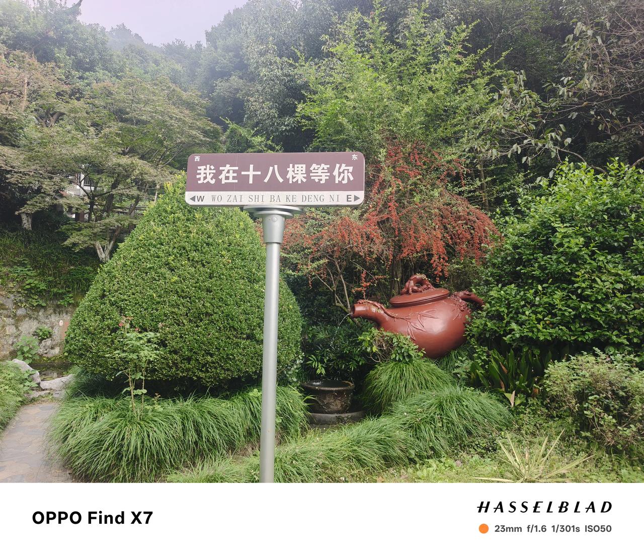 杭州打卡第六天✨｜老龙井御茶园·梅家坞
 
老龙井御茶园门票只要10元，偶遇一位