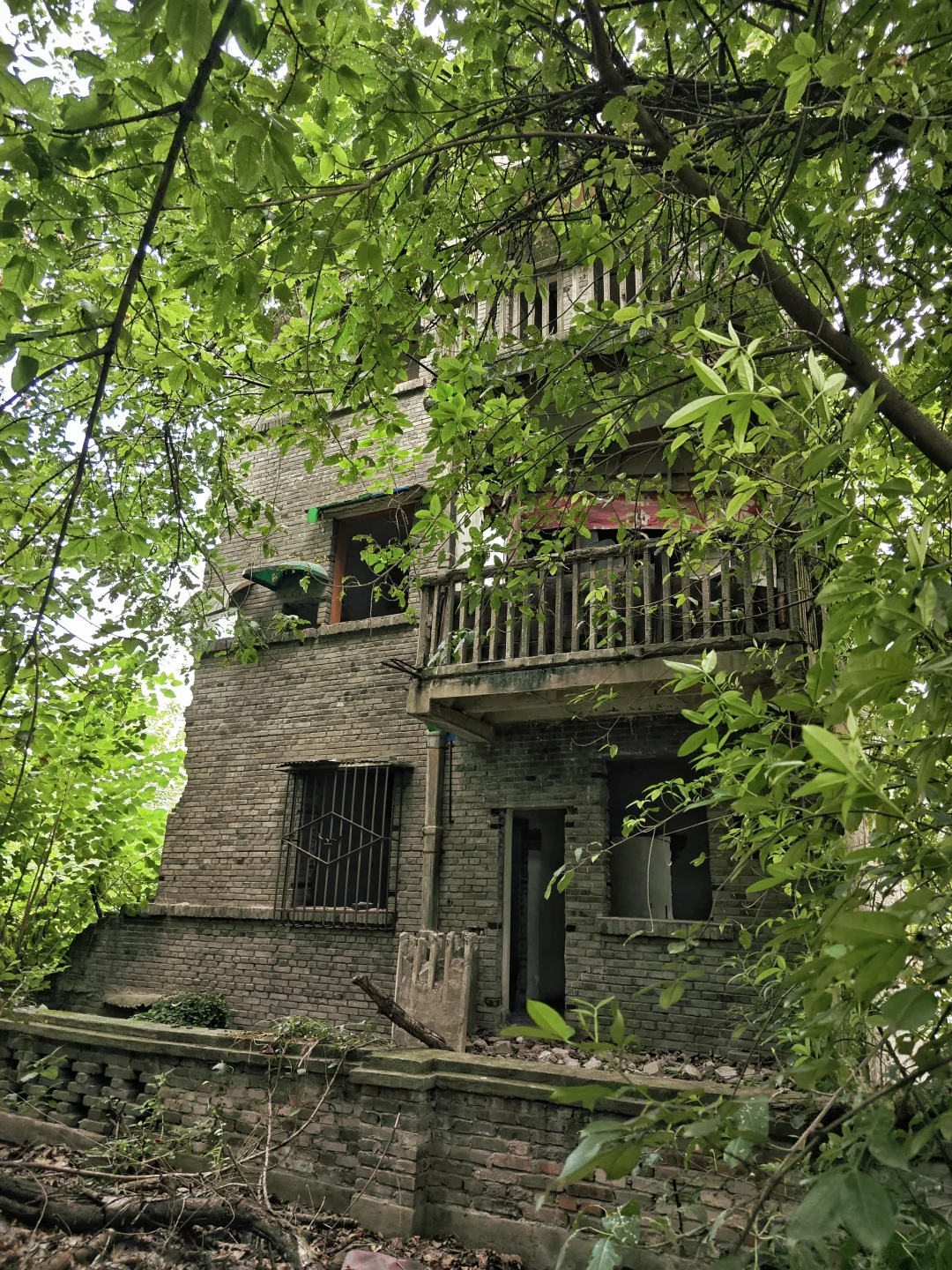 密林中的前卫厂旧址(citywalk362)