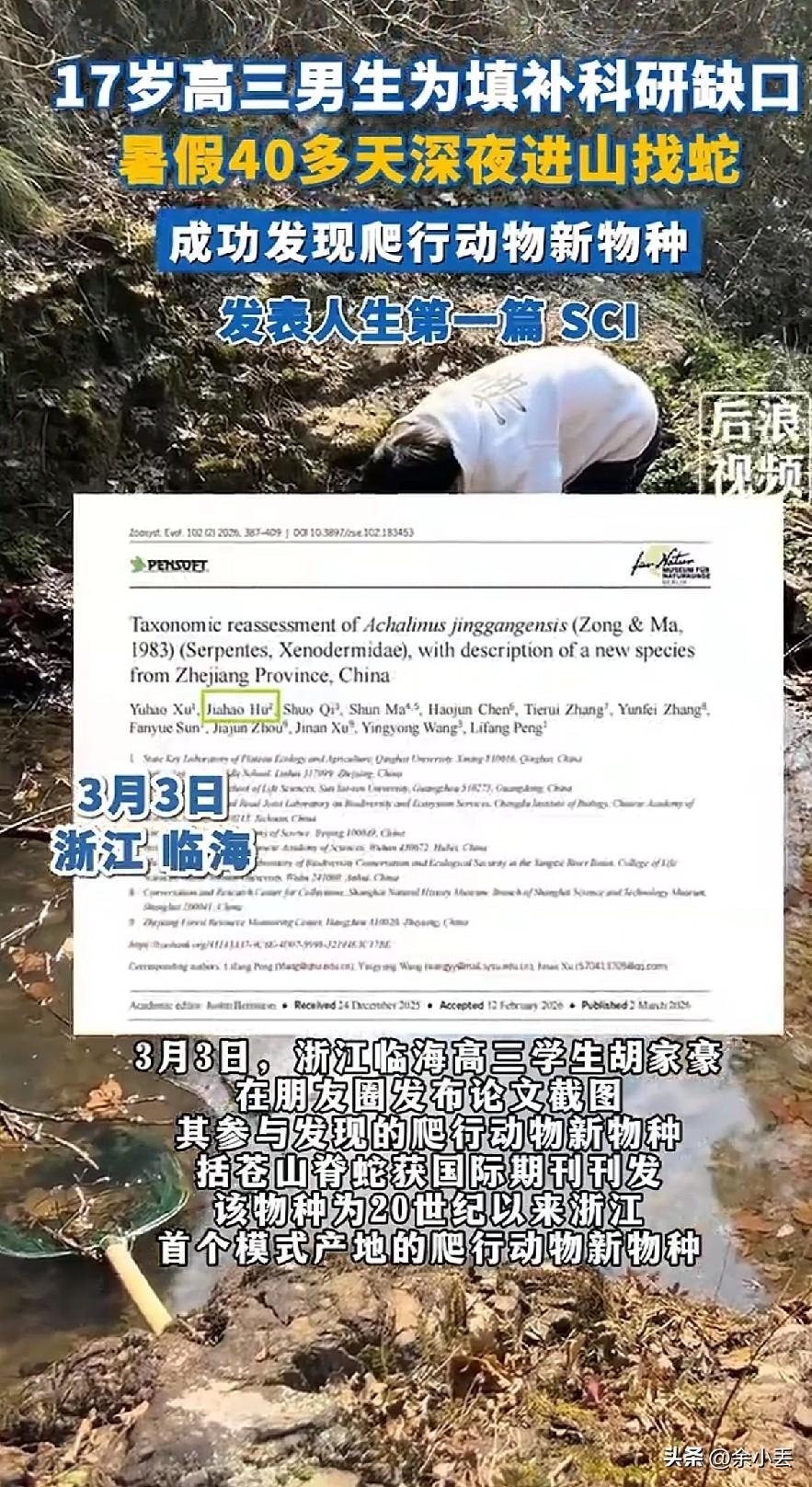 17岁男孩，夜里跑山40天，竟发现一种新蛇，人称“筷子蛇”
 
你敢信吗？一个才