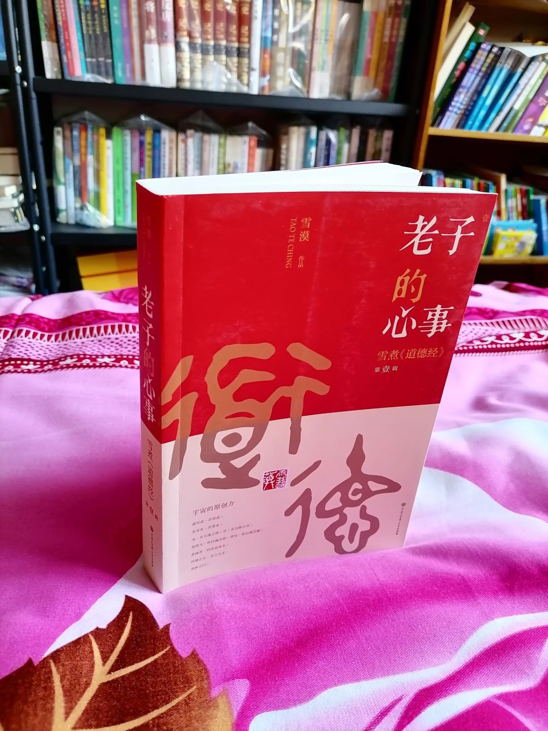 《老子的心事》：雪煮《道德经》第YI辑
	
作者：雪漠
出版社：中国大百科全书出...