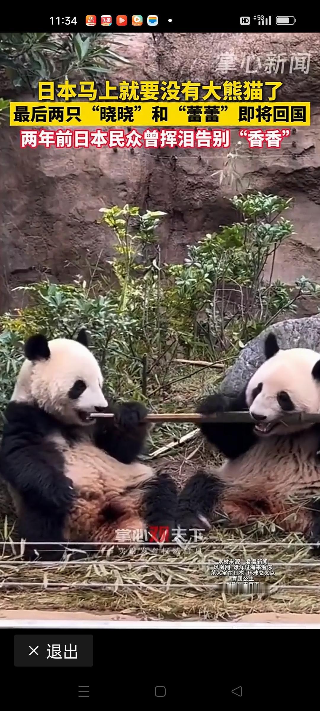 在这个快节奏的时代，我们似乎早已习惯了“看完即走”的快餐式生活，但当一只大熊猫成