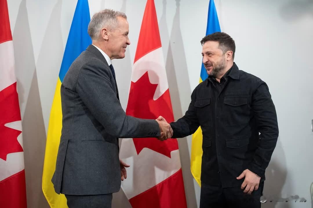 乌克兰总统泽连斯基在同美国总统特朗普会晤前夕，获得加拿大追加25亿加元的经济援助
