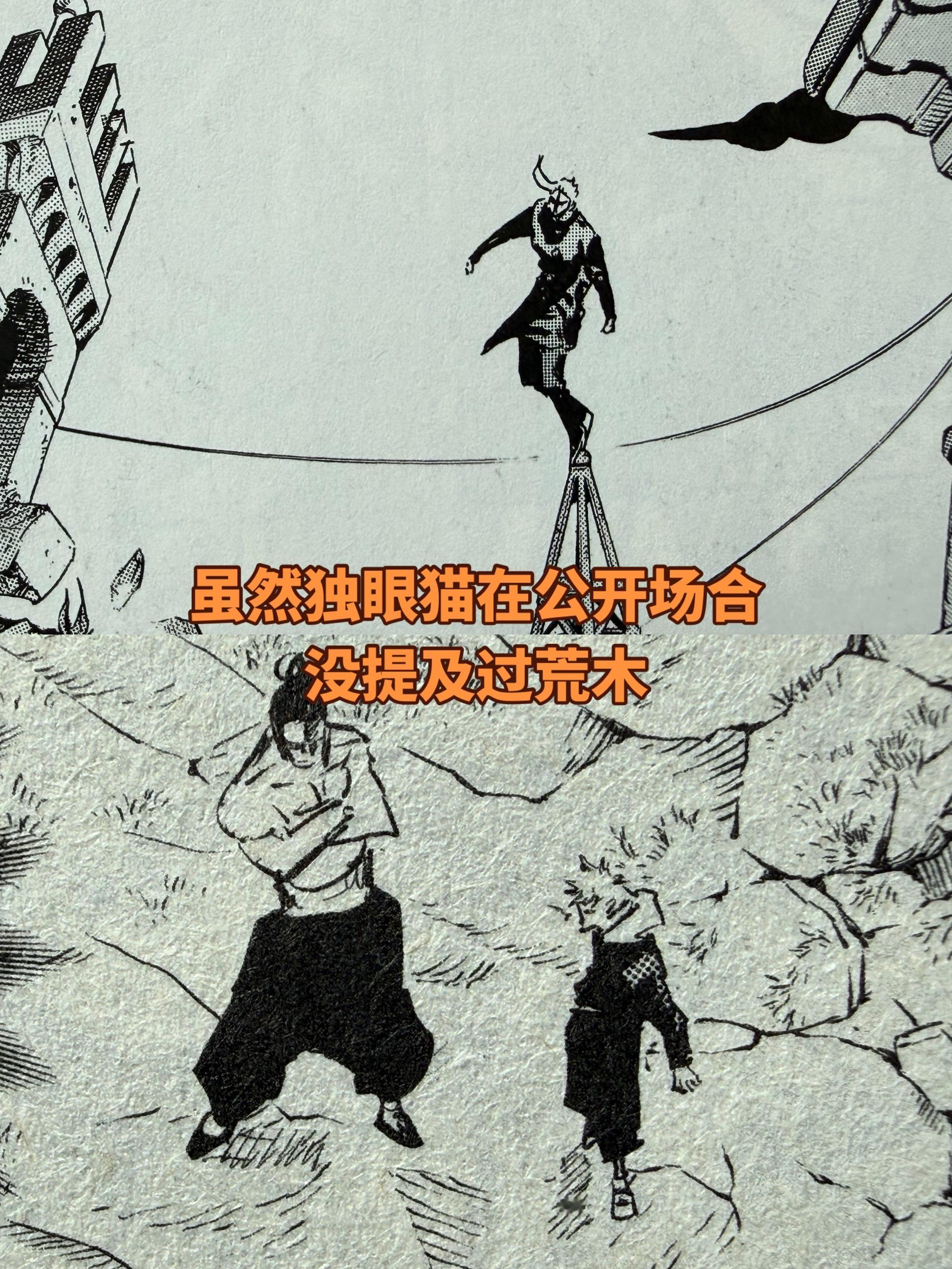 关于漫画。每位漫画家对的理解和追求不同，绘画的历史也表明了不是画的像照...