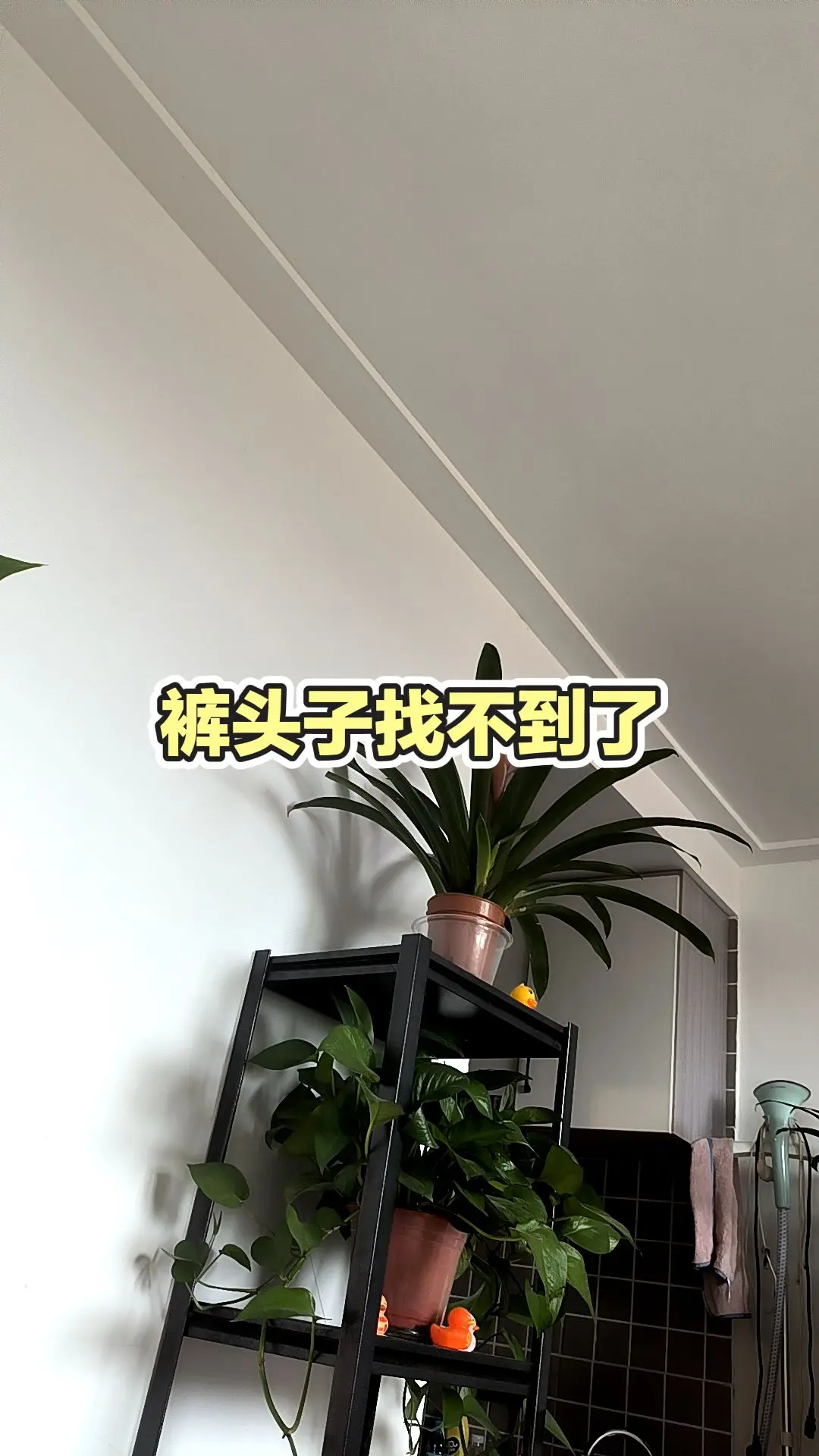 每日分享
