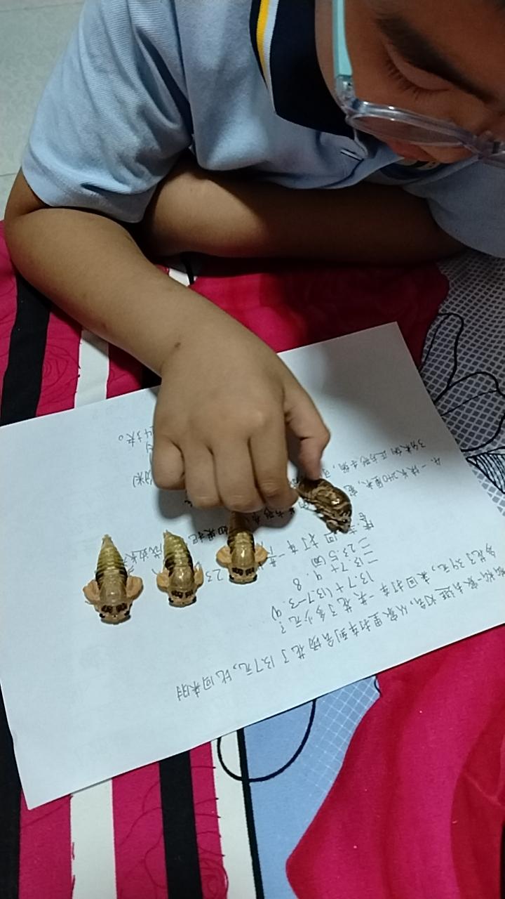 儿子准备让爬爬赛跑！