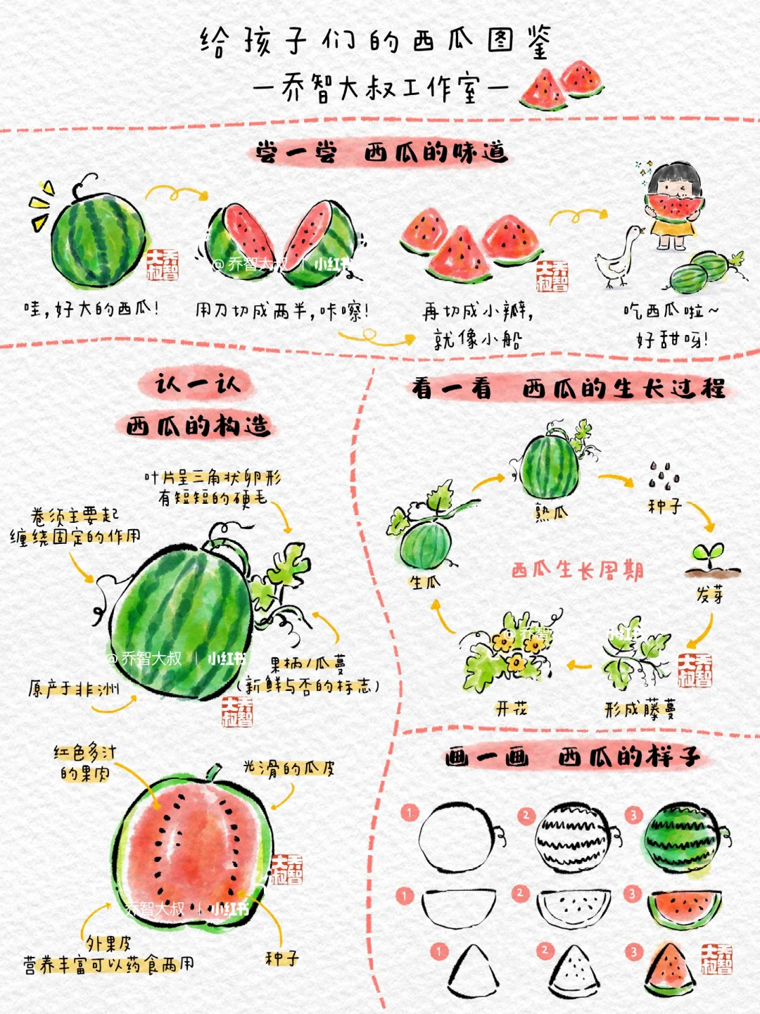 给孩子们的西瓜图鉴
