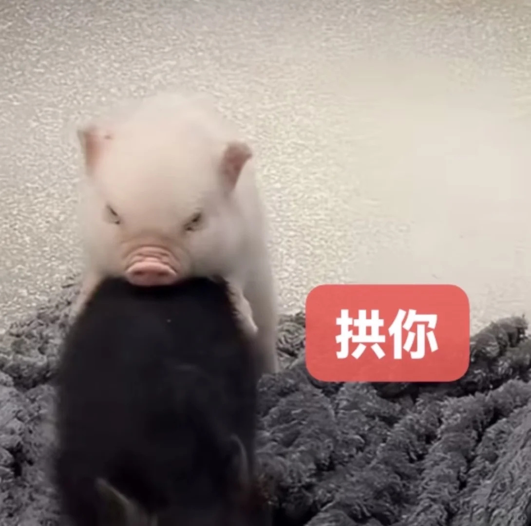 跟你们不看九门的说不清九门有多好看 时光时光慢些吧离开九门我在互联网又生存不下去