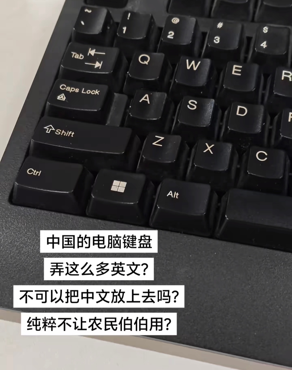 真放了你又不乐意了🤣👌 ​​​