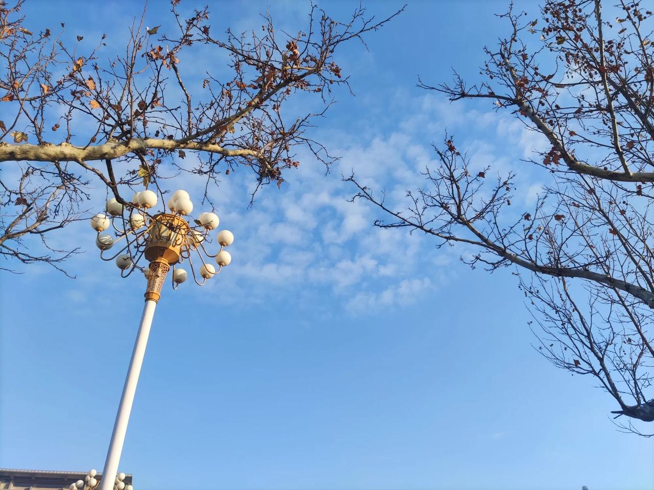 双标的婆婆。婆婆在我们家说话总是轻声细语的，也可以说是小心翼翼的，每次问我们想吃