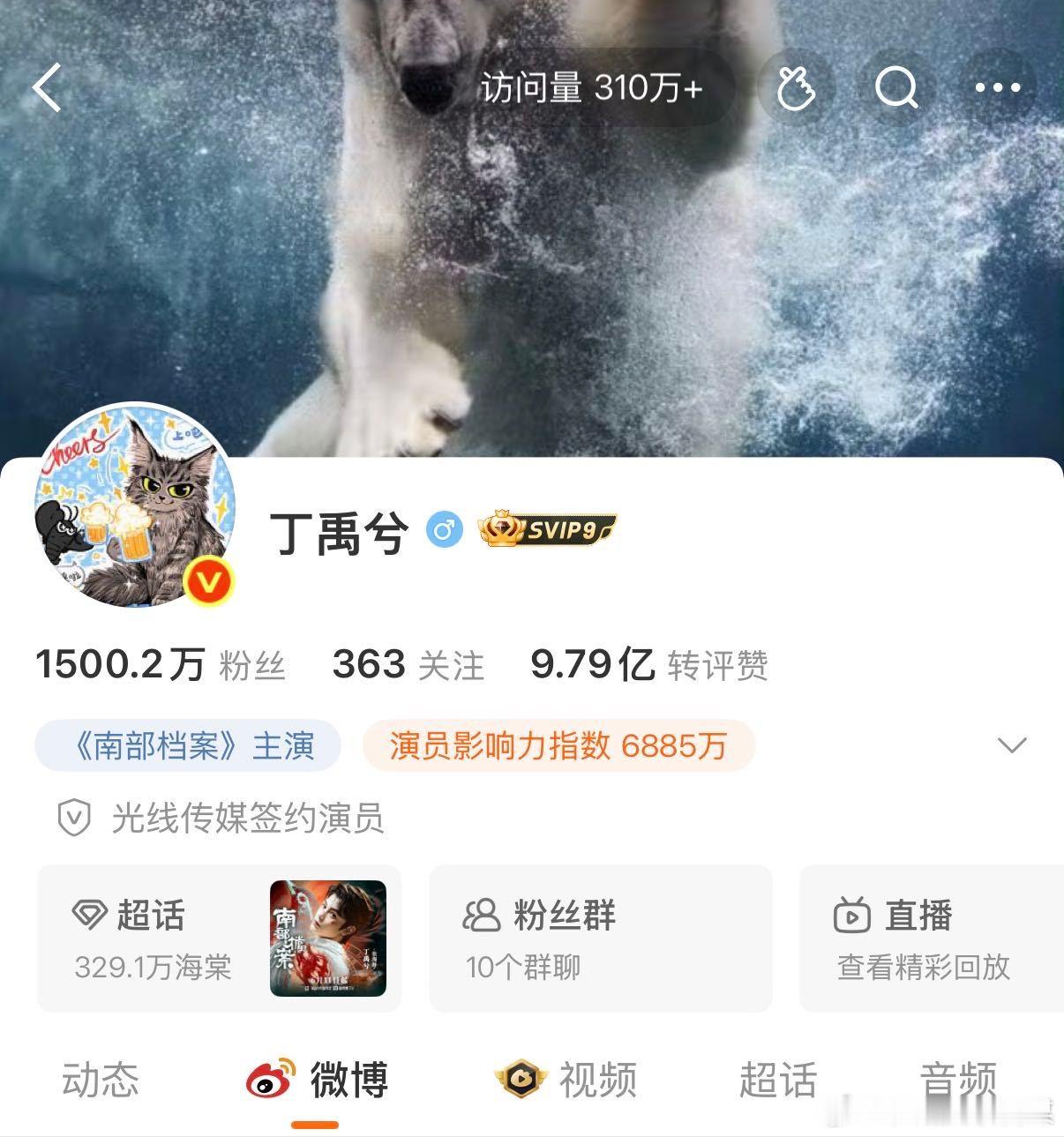 丁禹兮南部档案涨粉 但凡认真追完南部档案，很难不心动