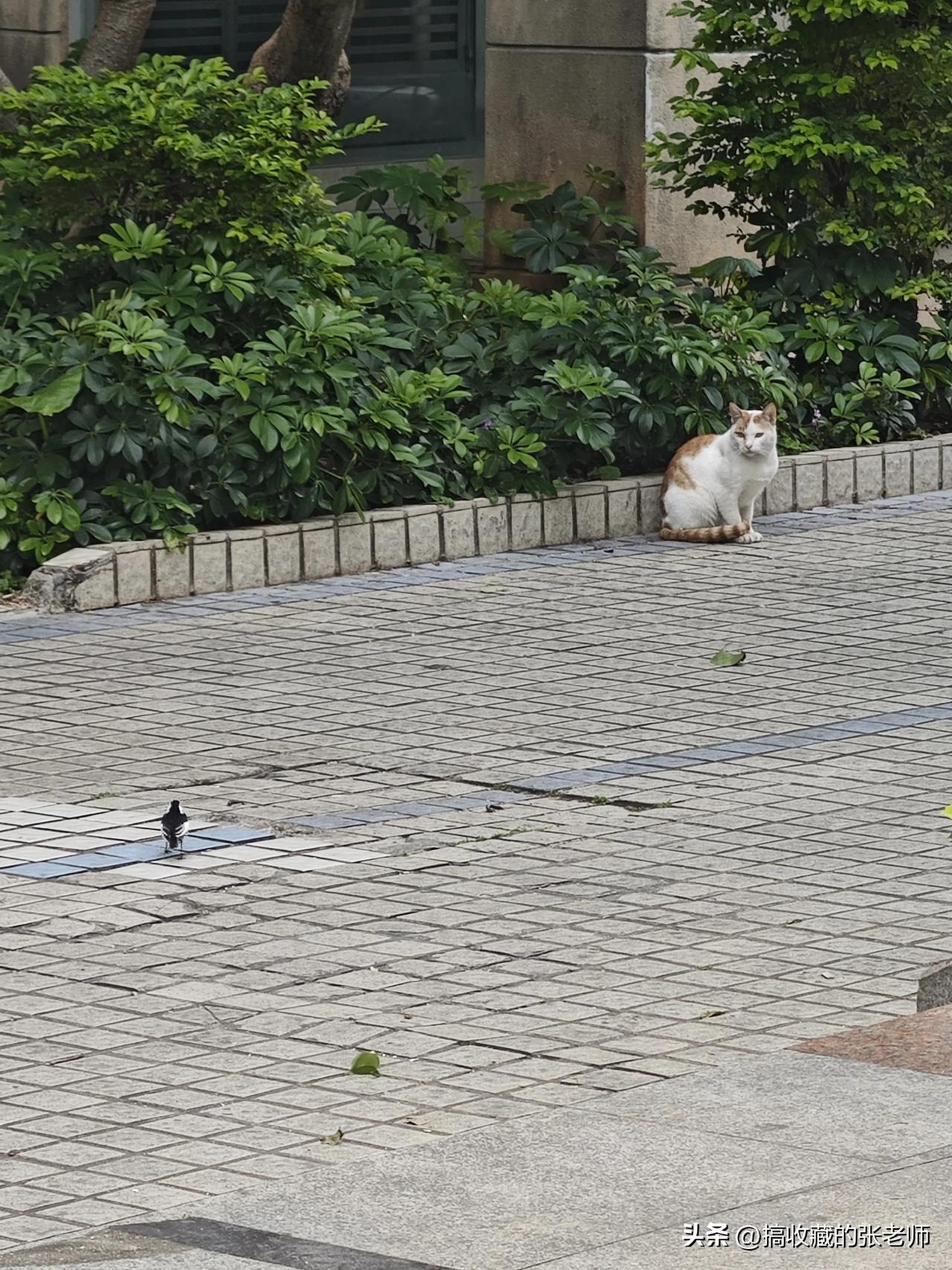 科技发达便于留存瞬间、随时记录，但也易泄露隐私，让人沉迷忽略当下。