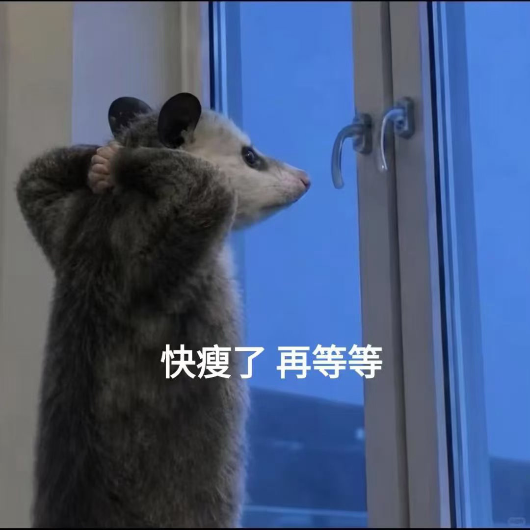 王濛全民健身的愿望实现了绝佳双向呼应！王濛怀揣全民健身初心，阿福直接派发一分钱体