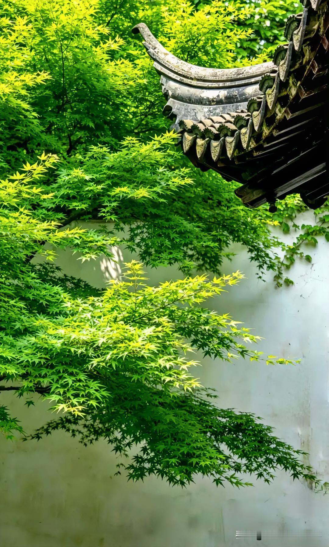 下联：深院青枝遮古檐
上联：有请雅士[玫瑰][玫瑰][玫瑰]