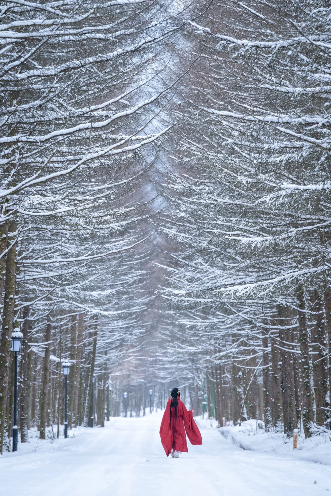 在光雾山拍的‼️红色战国袍与雪景简直绝配！