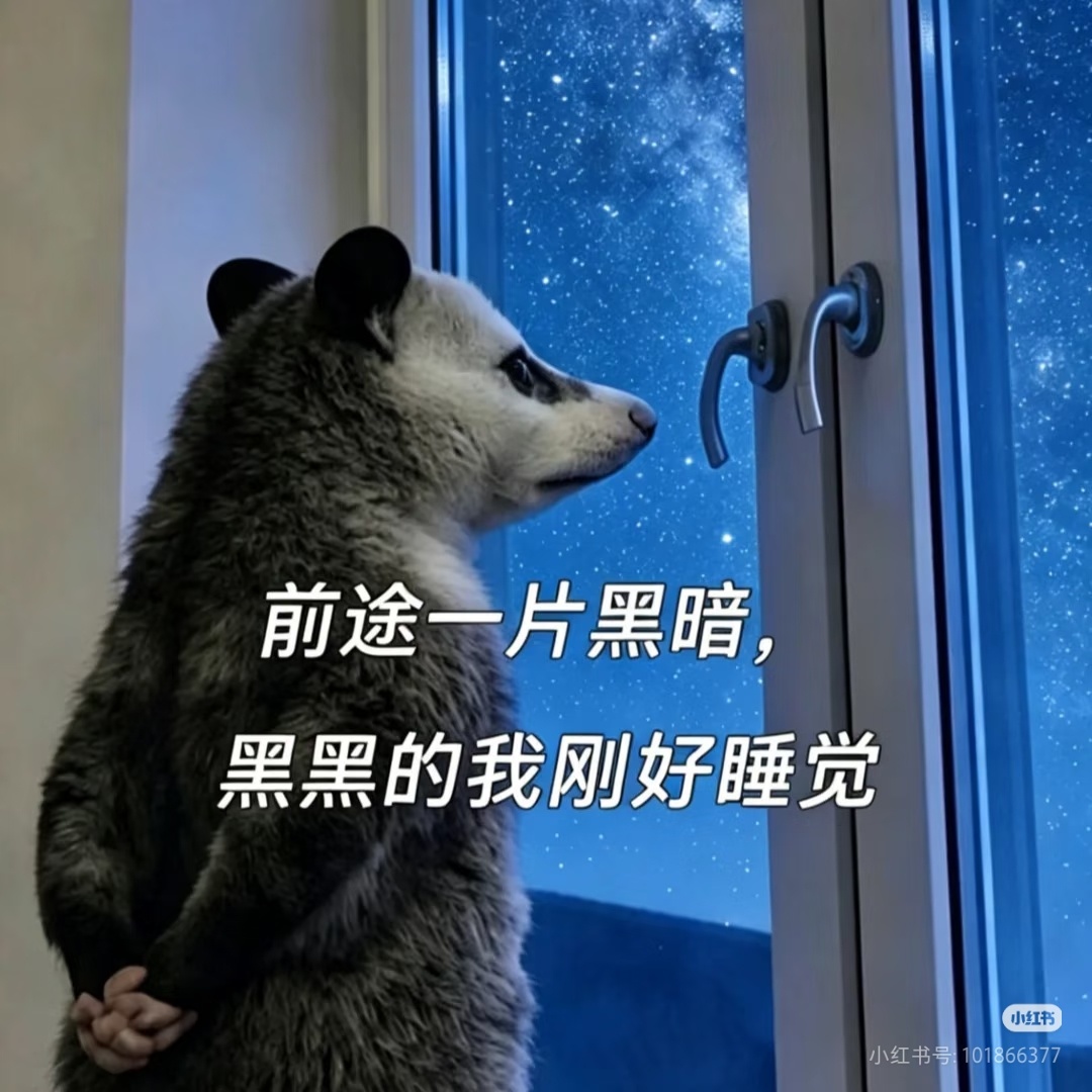 生活手记碎觉碎觉，啥也蹭不上，啥也没有，还吞🍎