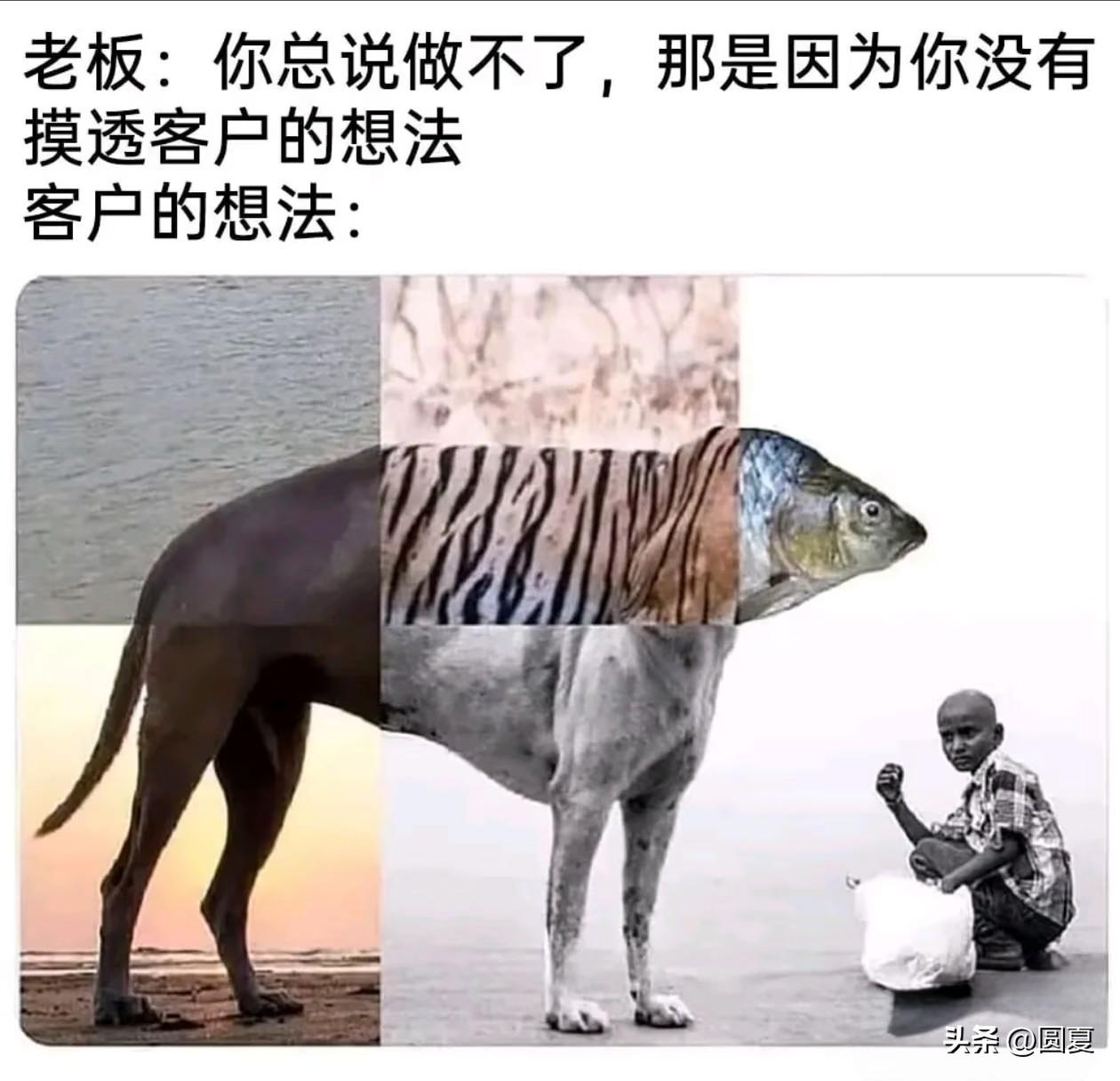 客户的思维真的很难理解呀！销售思维转变 剖析客户心理 搞笑