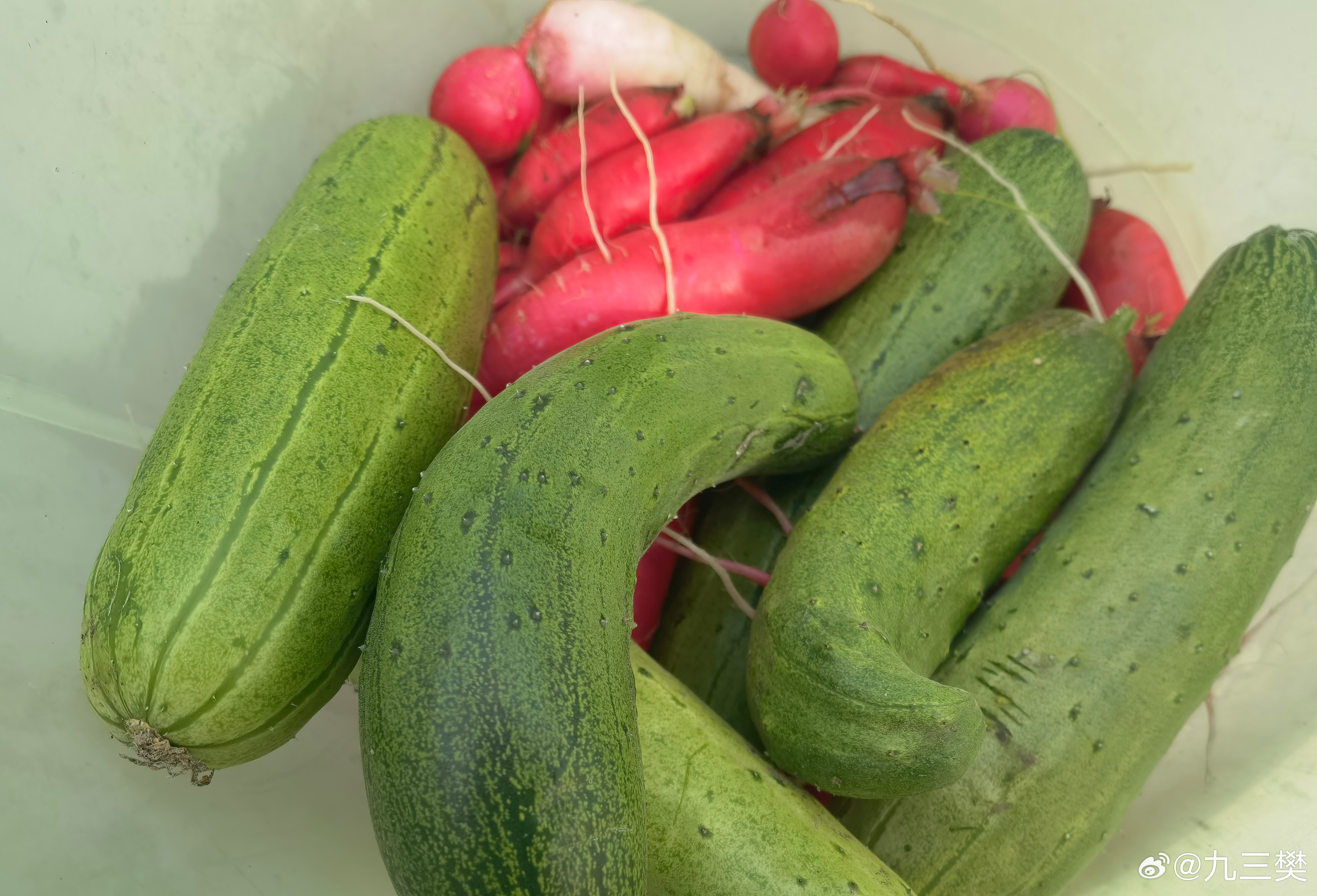 科普 专家提醒，夏季食用发苦的瓜类蔬果后出现不适，无论症状轻重，均应第一时间前往