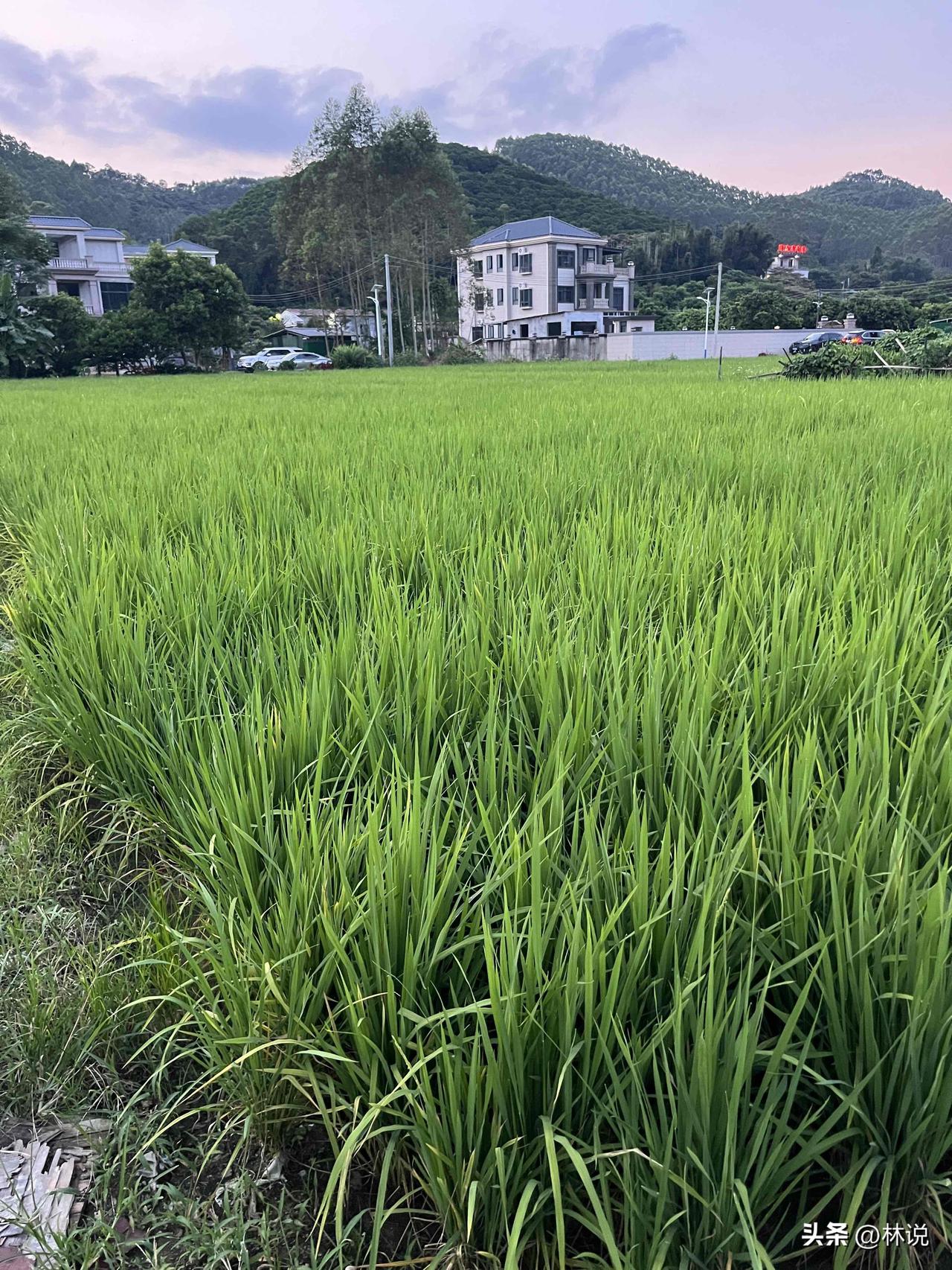 简直不敢想象，
今年的国庆假期7天，
我们全家几乎
没有去一趟远门。

最远的地