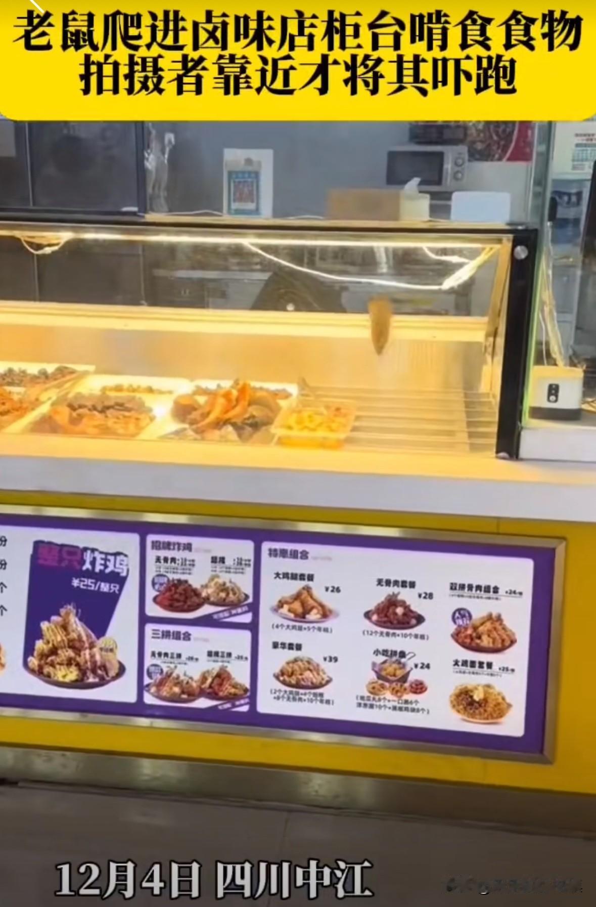 老鼠爬进卤味店的柜台里，偷吃食物，顾客过来了才把老鼠吓跑！
这家卤味店肯定不干净